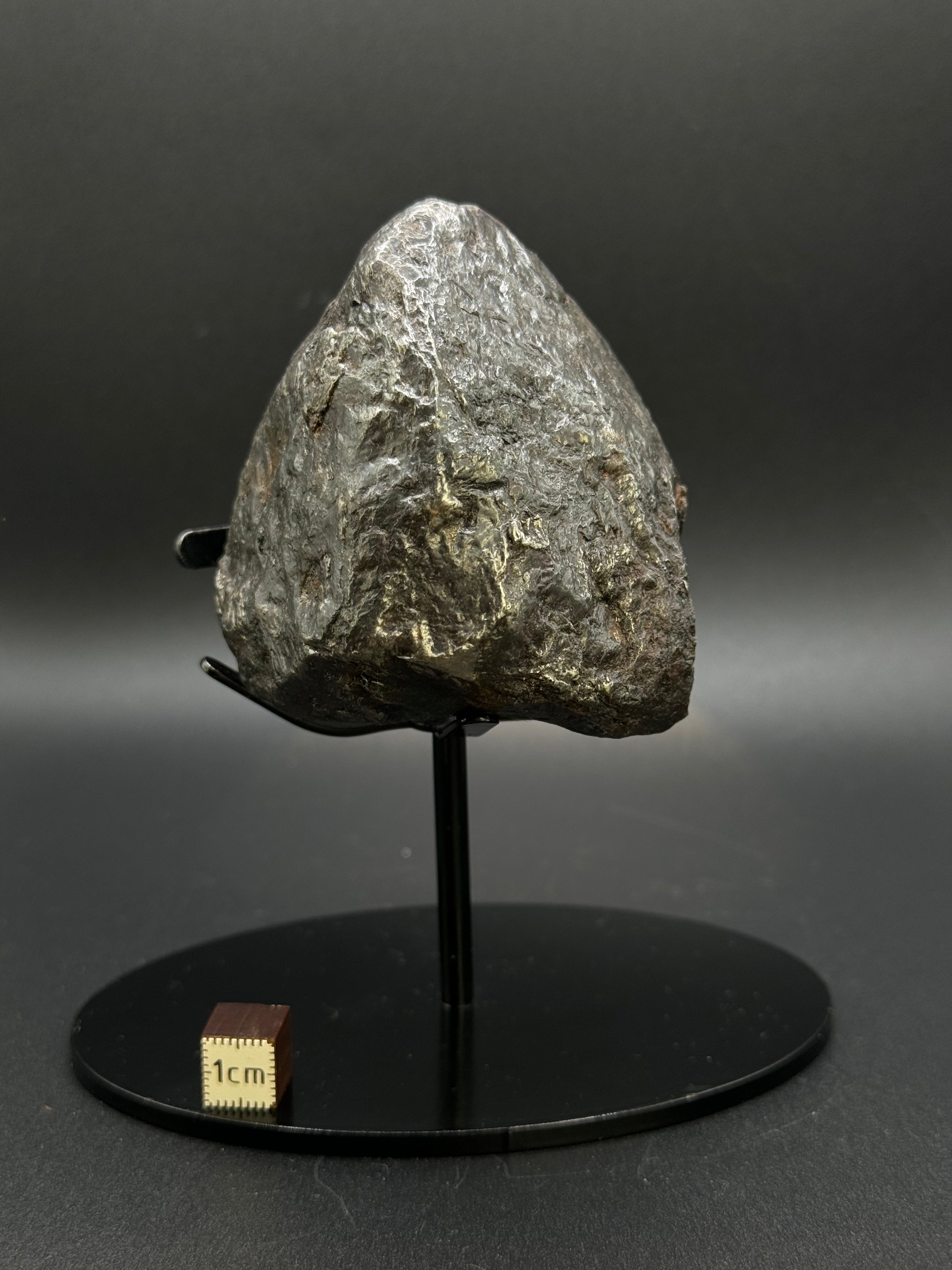 MUONIONALUSTA METEORITE, SWEDEN. FULL METEORITE 843 GRAMS.