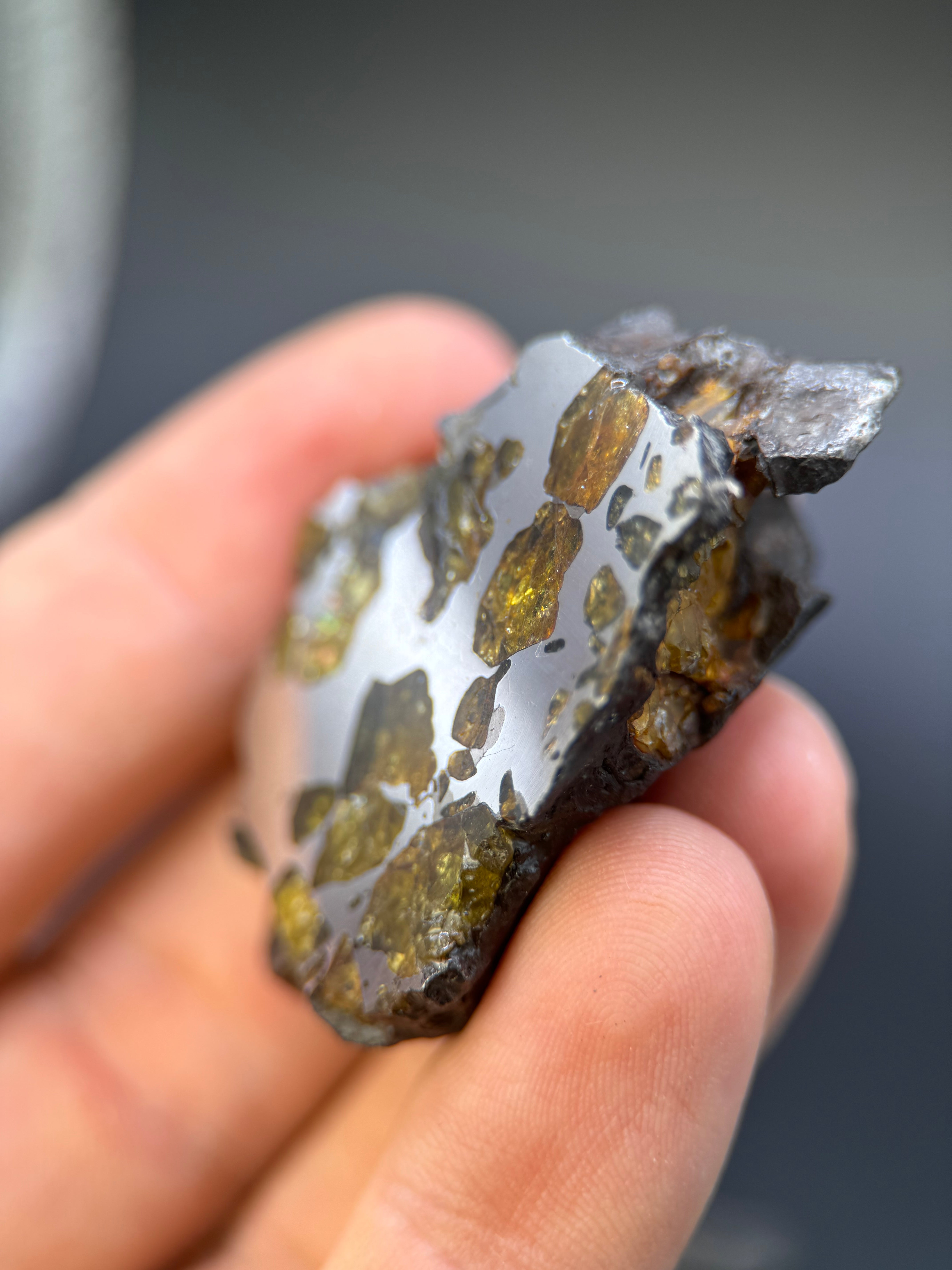 IMILAC PALLASITE METEORITE, END CUT, CHILE. 44,7 GRAMS.