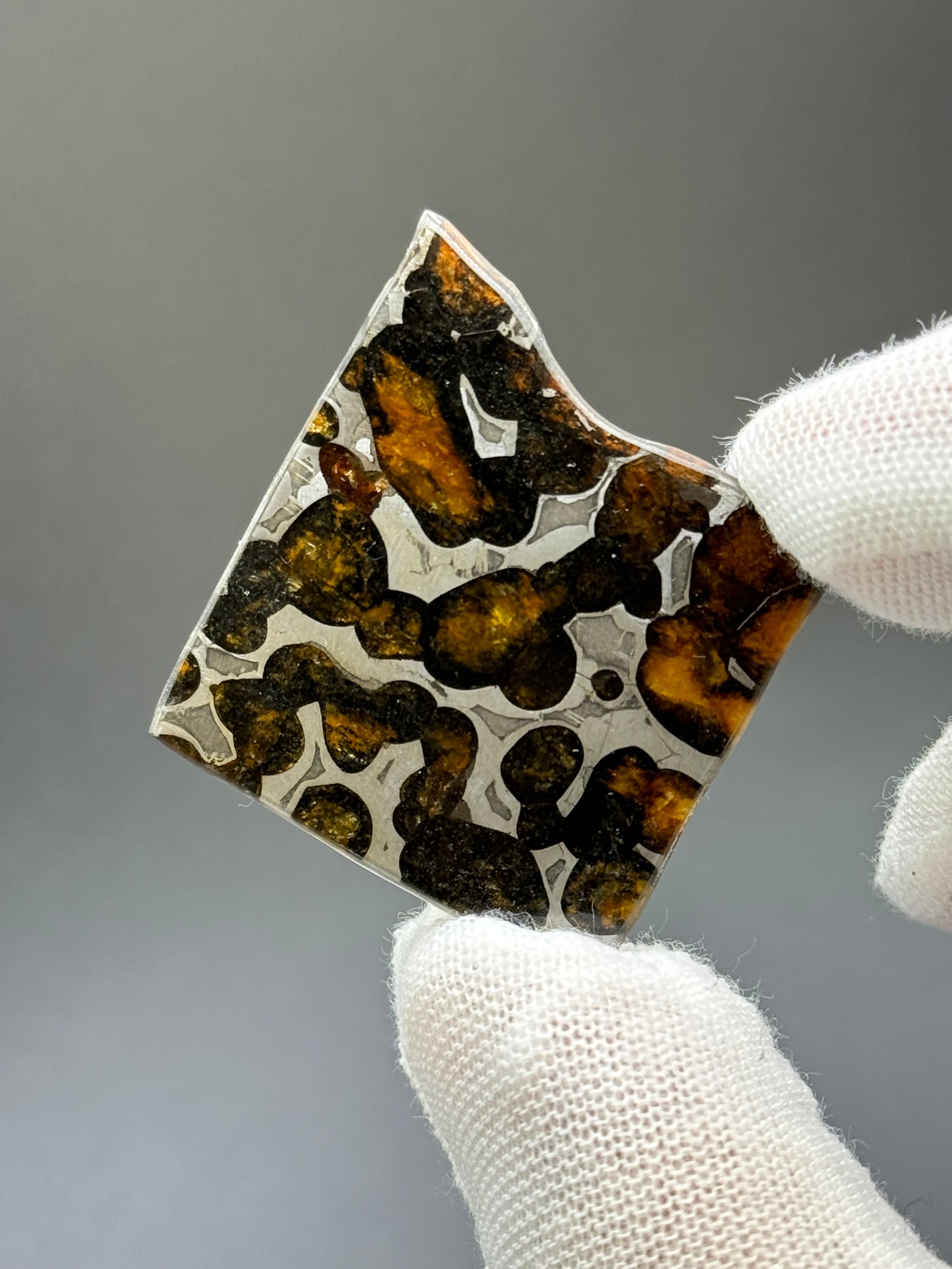 SERICHO METEORITE, KENYA. 7,1 GRAMS SLICE,
