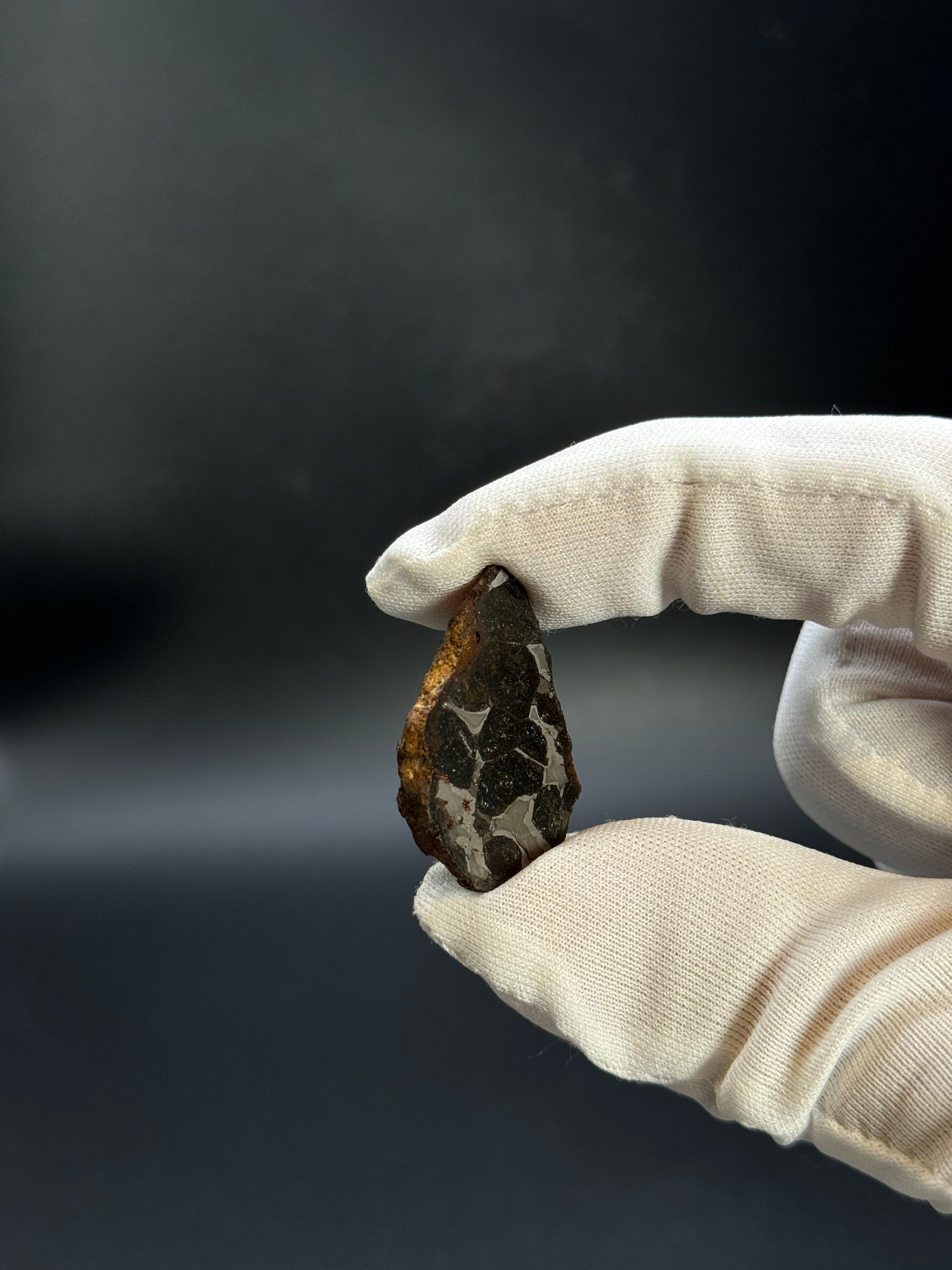 SERICHO PALLASITE METEORITE, KENYA. 12,47 GRAMS END-CUT.
