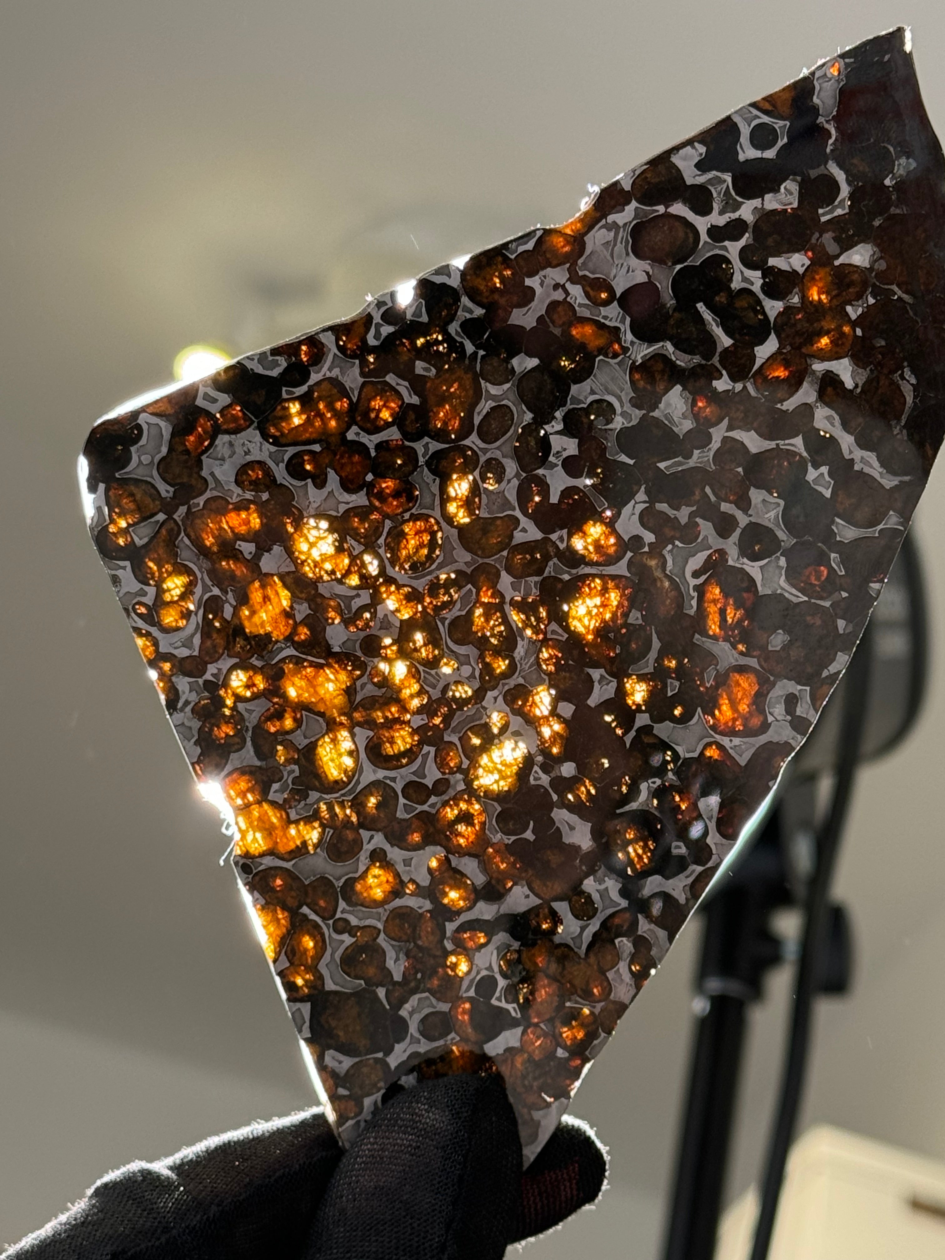 SERICHO METEORITE, KENYA. 71 GRAMS SLICE