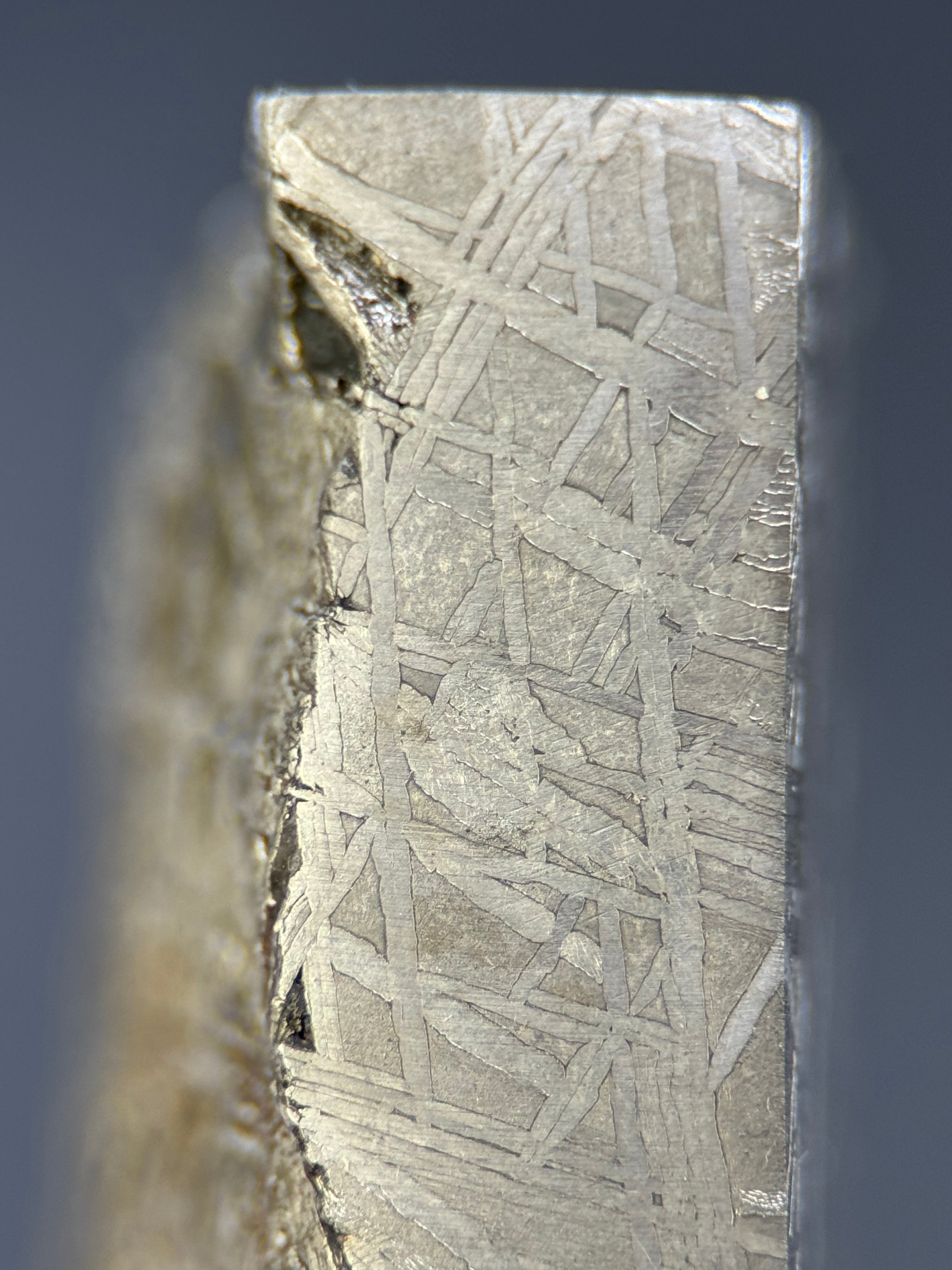 MUONIONALUSTA METEORITE, SWEDEN. 132,8 GRAMS END-CUT.