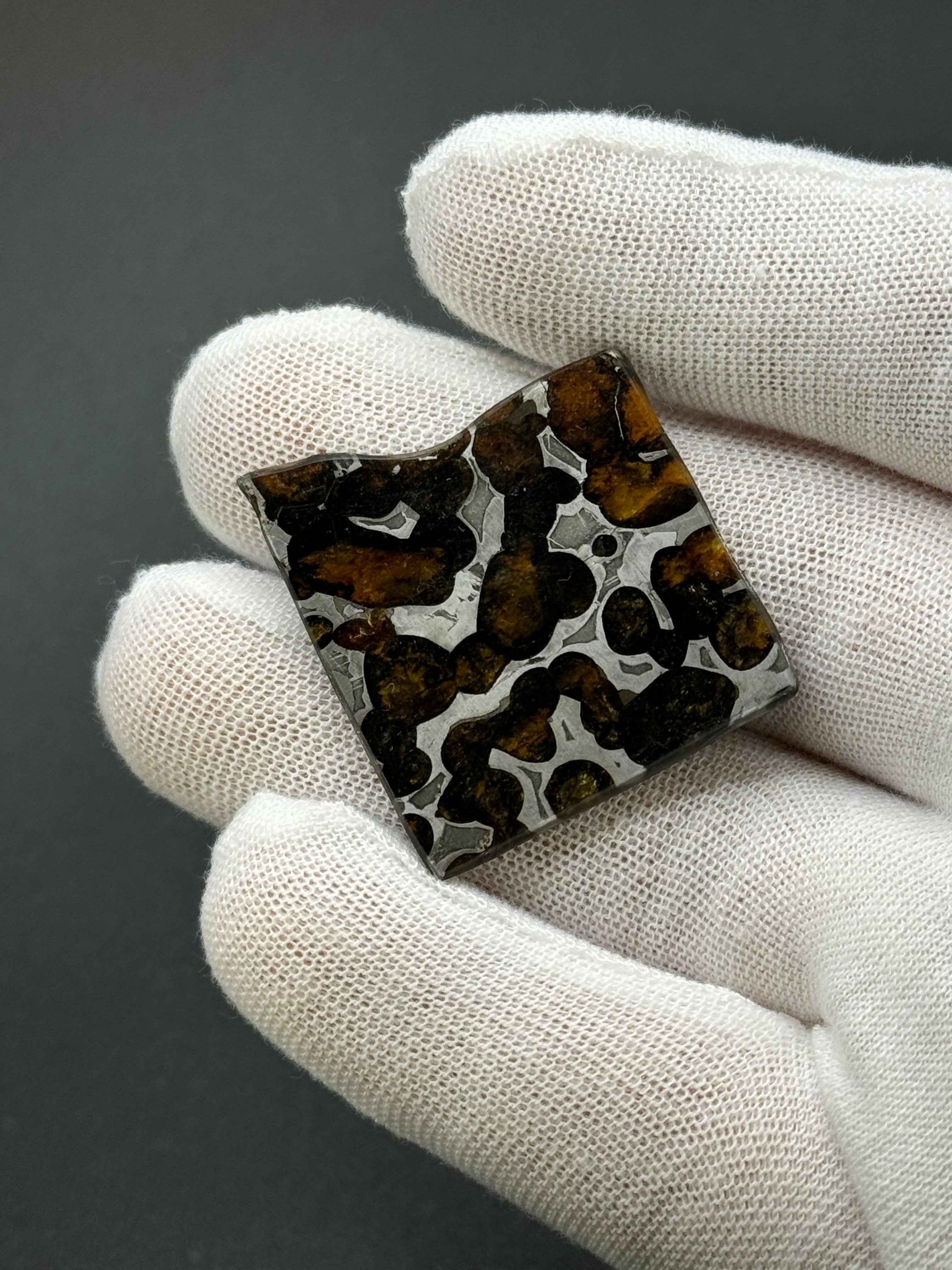 SERICHO METEORITE, KENYA. 7,1 GRAMS SLICE,