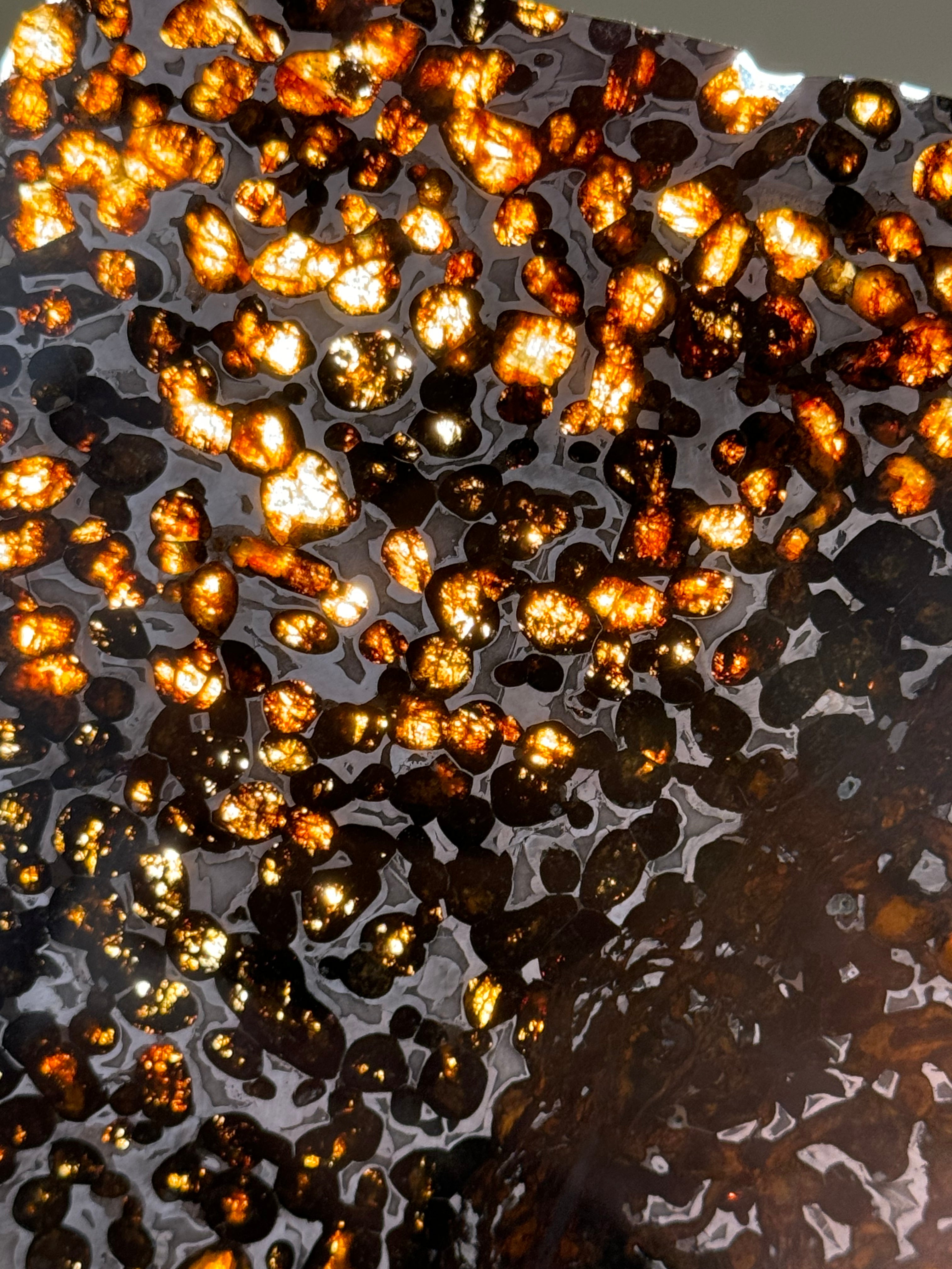 SERICHO METEORITE, KENYA. 102 GRAMS SLICE