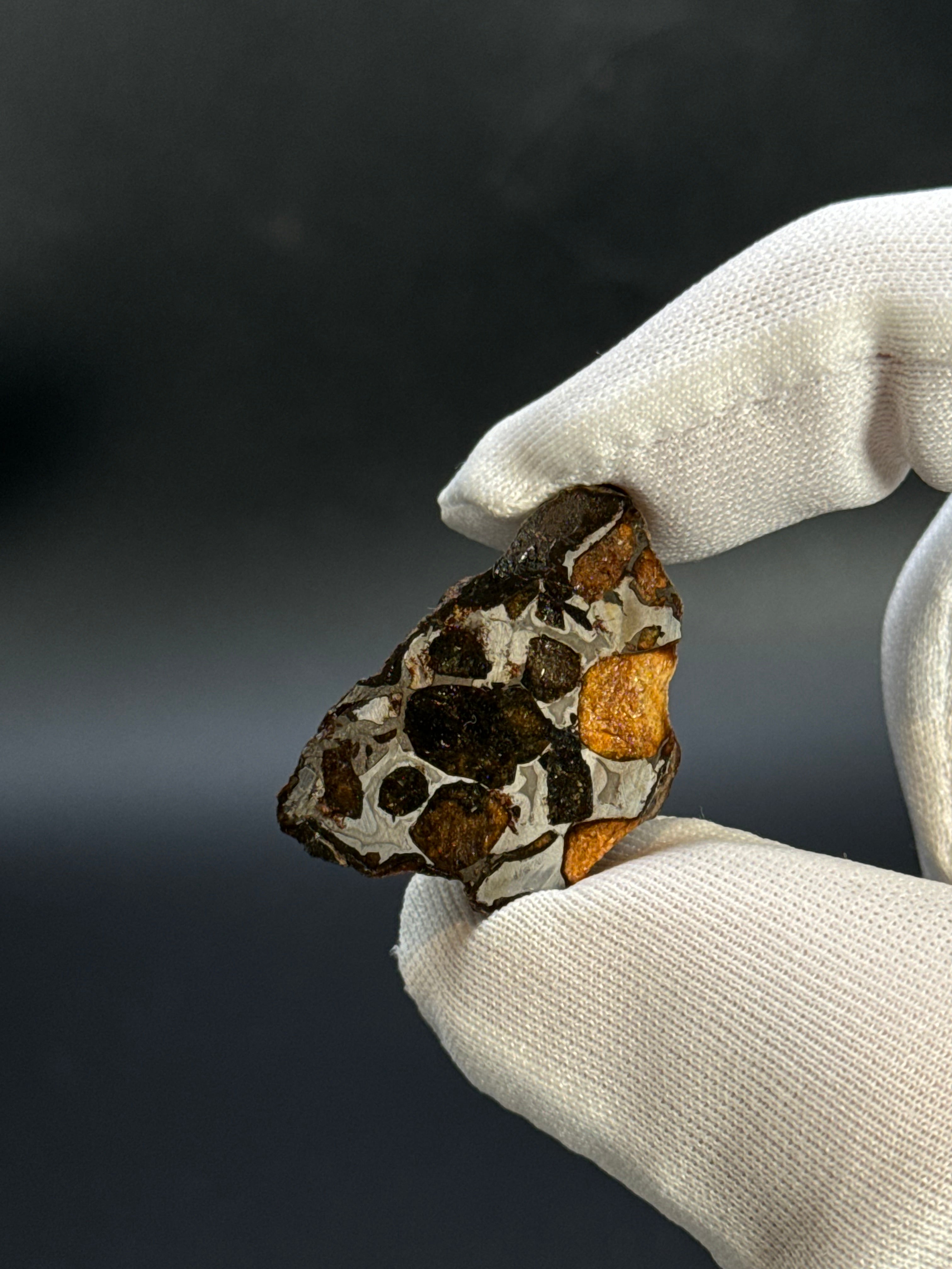 SERICHO PALLASITE METEORITE, KENYA. 12,03 GRAMS END-CUT