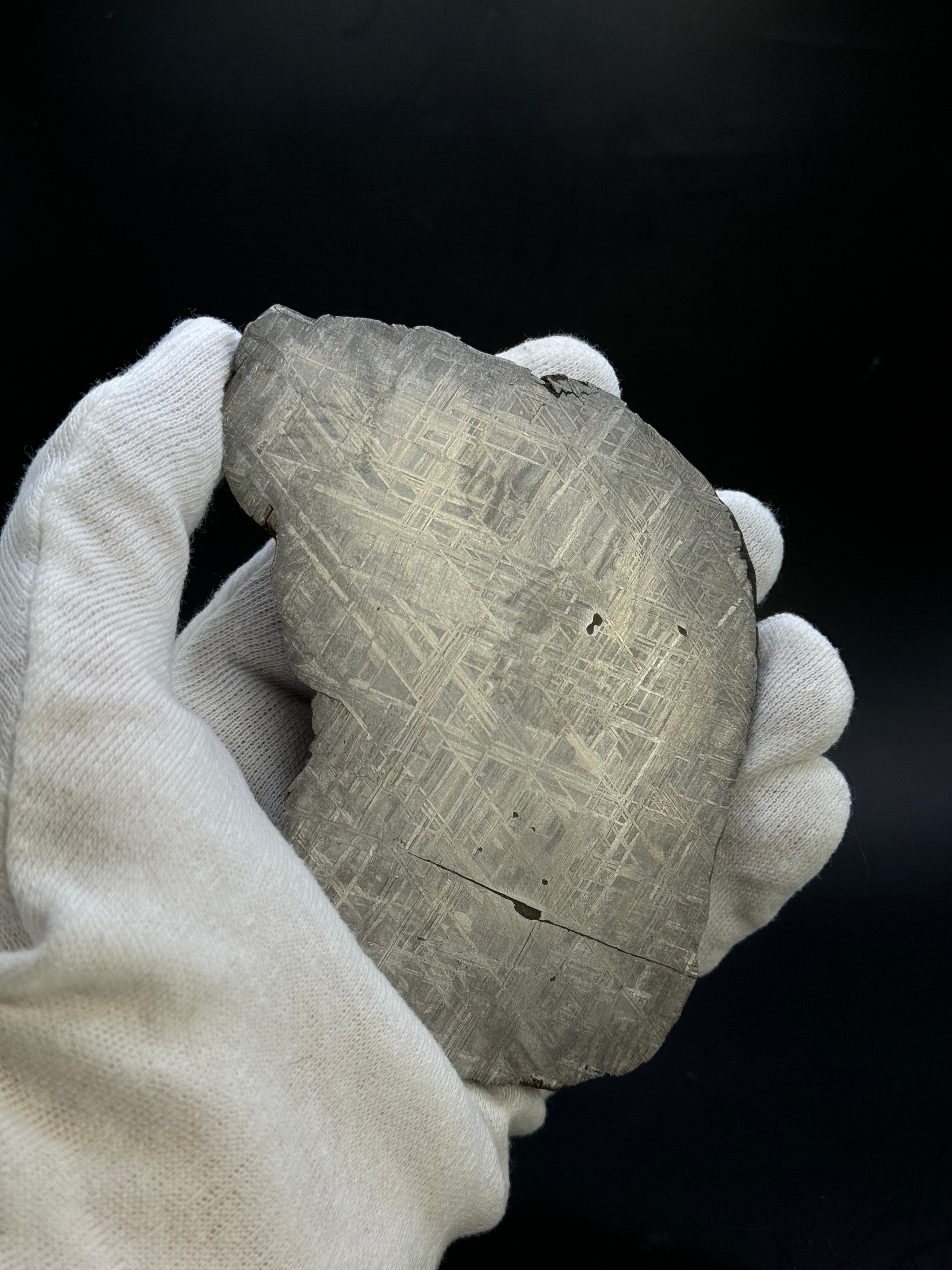 MUONIONALUSTA METEORITE, SWEDEN. 683 GRAMS END-CUT.