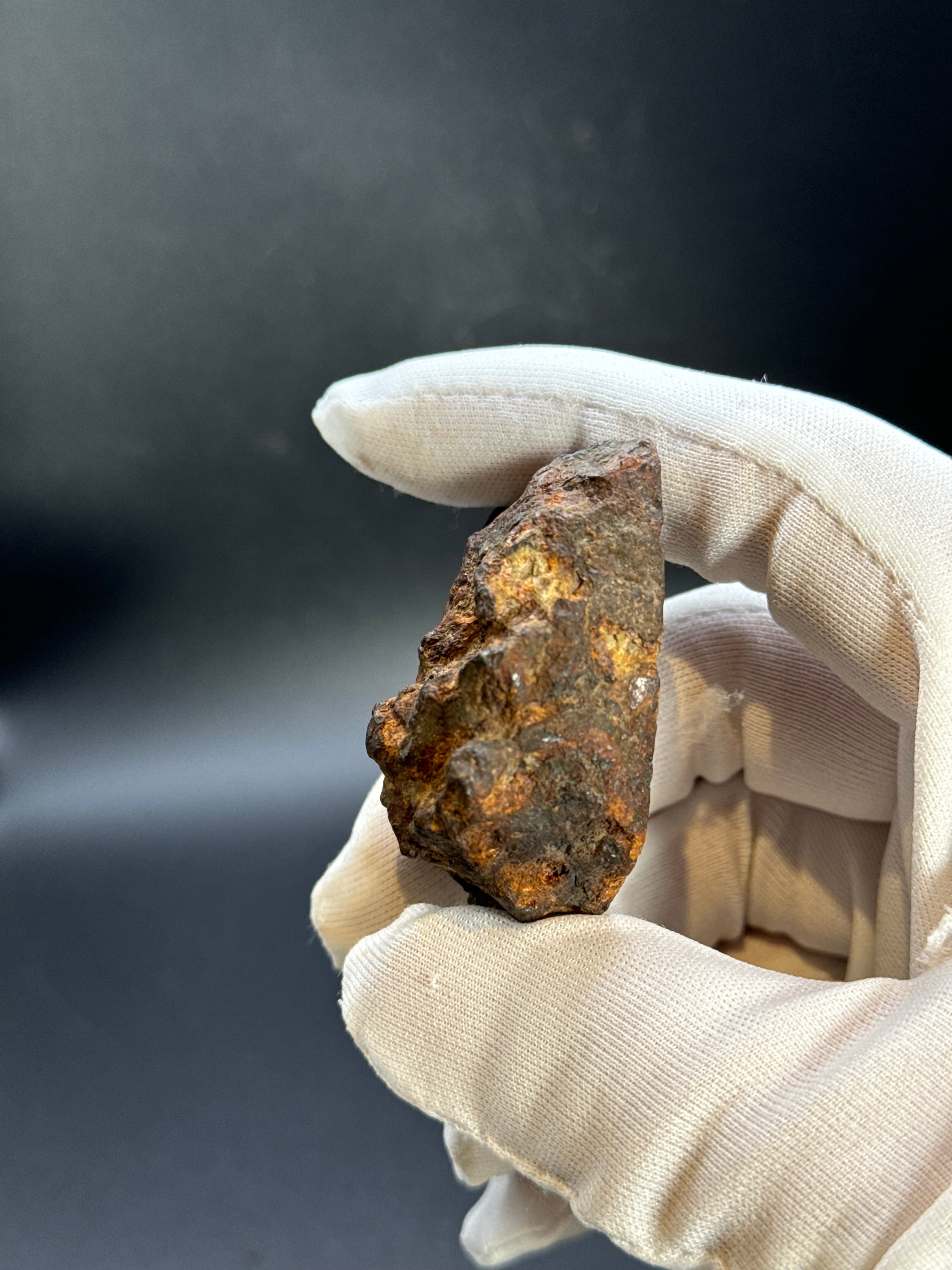 SERICHO PALLASITE METEORITE, KENYA. 92,90 GRAMS END-CUT.