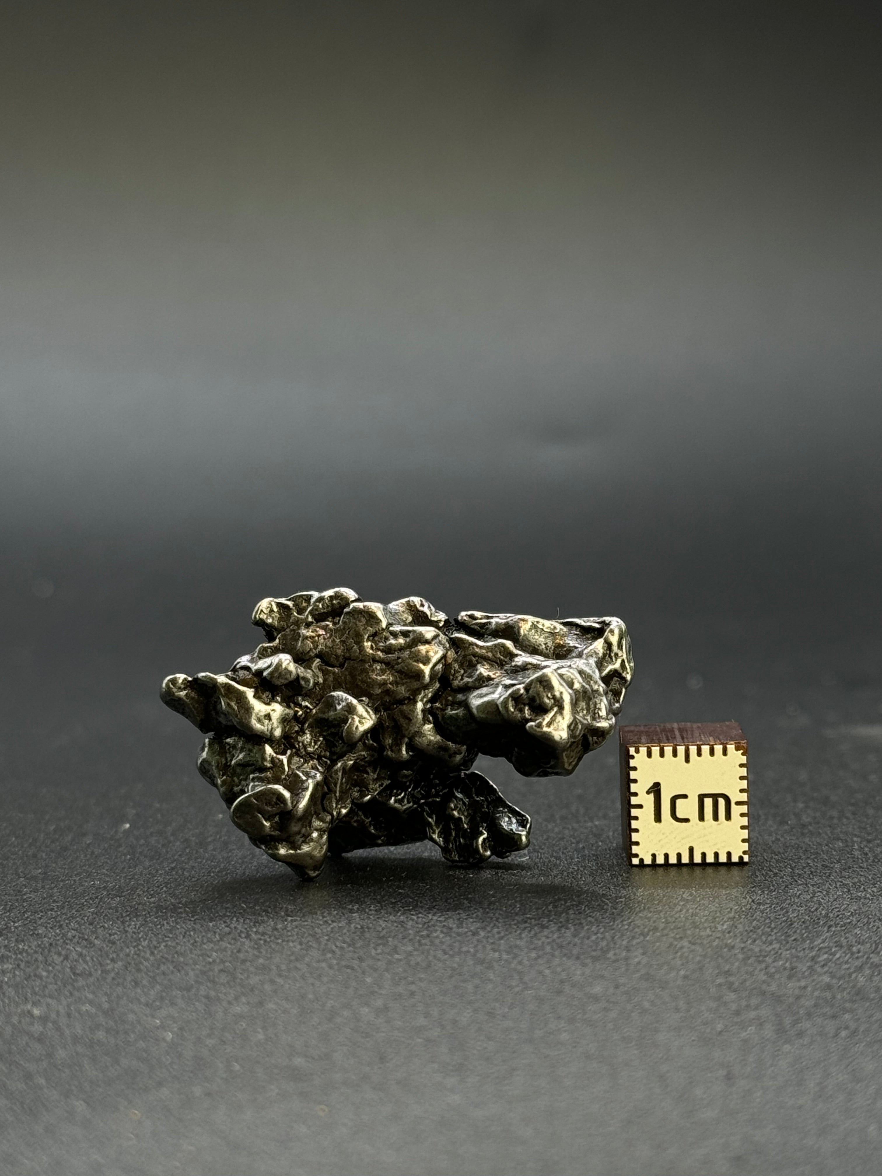 CAMPO DEL CIELO METEORITE, SOUTH AMERICA. 25,02 GRAMS.