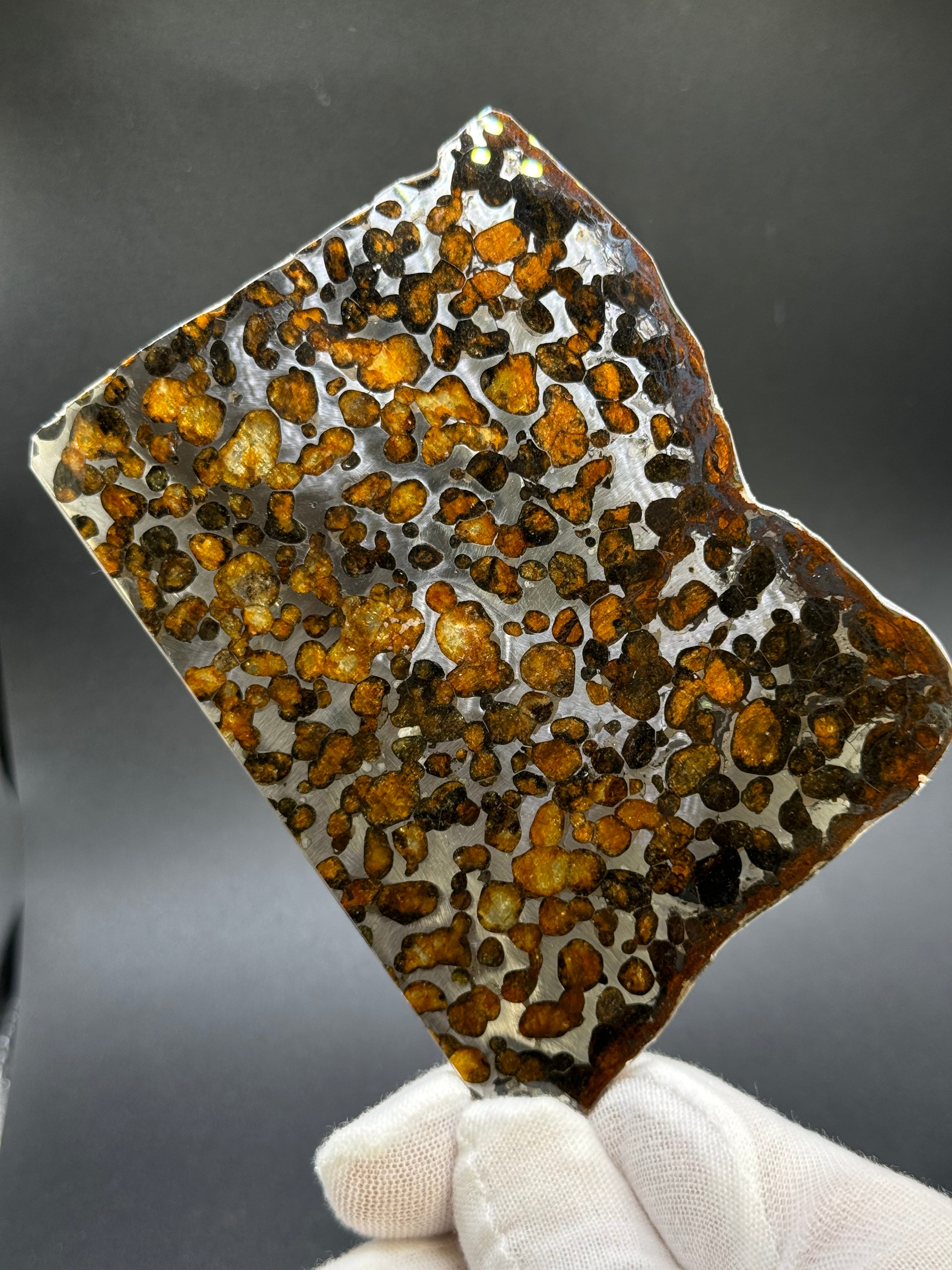 SERICHO METEORITE, KENYA. 62,07 GRAMS SLICE