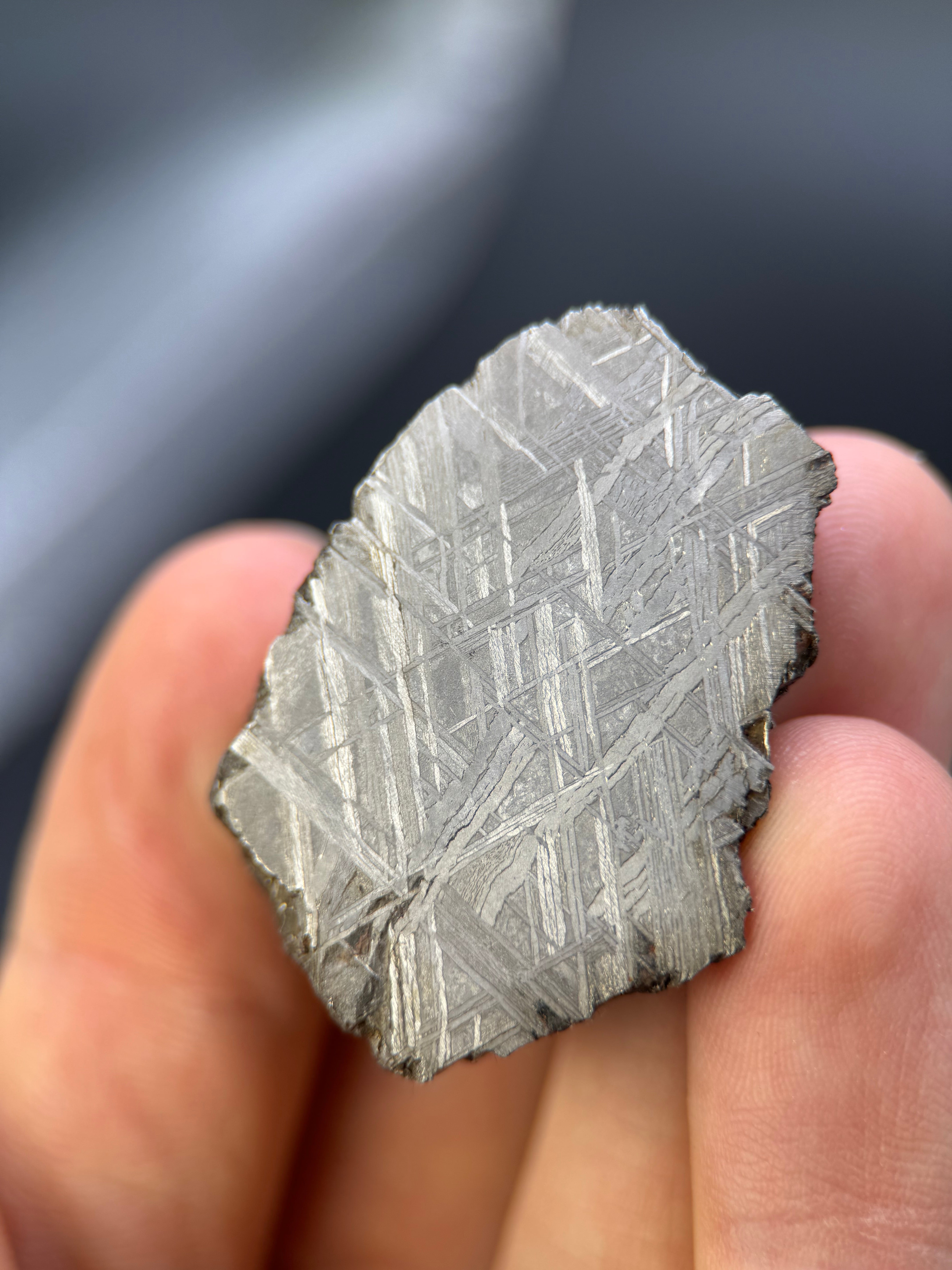 MUONIONALUSTA METEORITE, SWEDEN. 82,64 GRAMS END-CUT.
