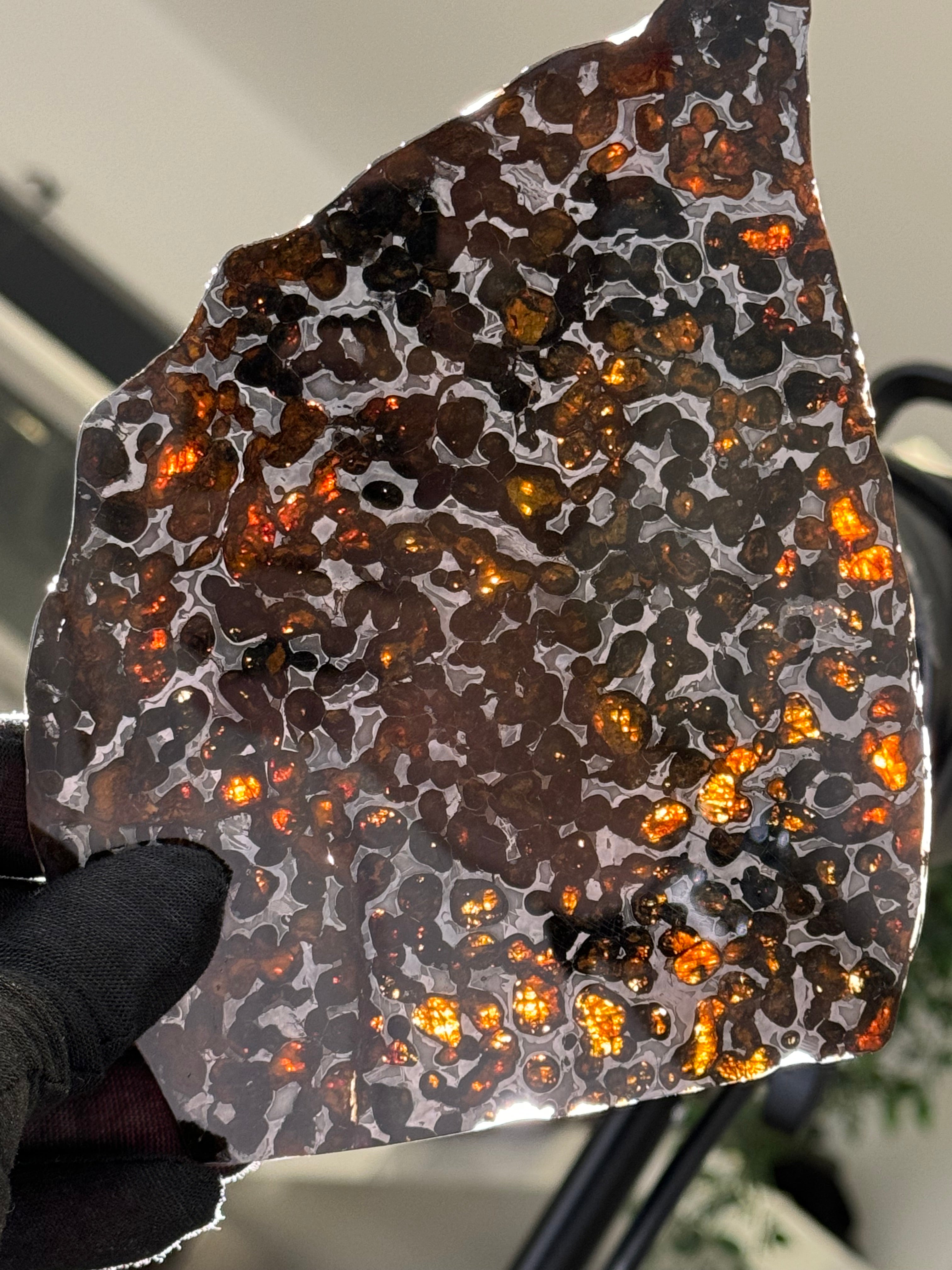 SERICHO METEORITE, KENYA. 97 GRAMS SLICE