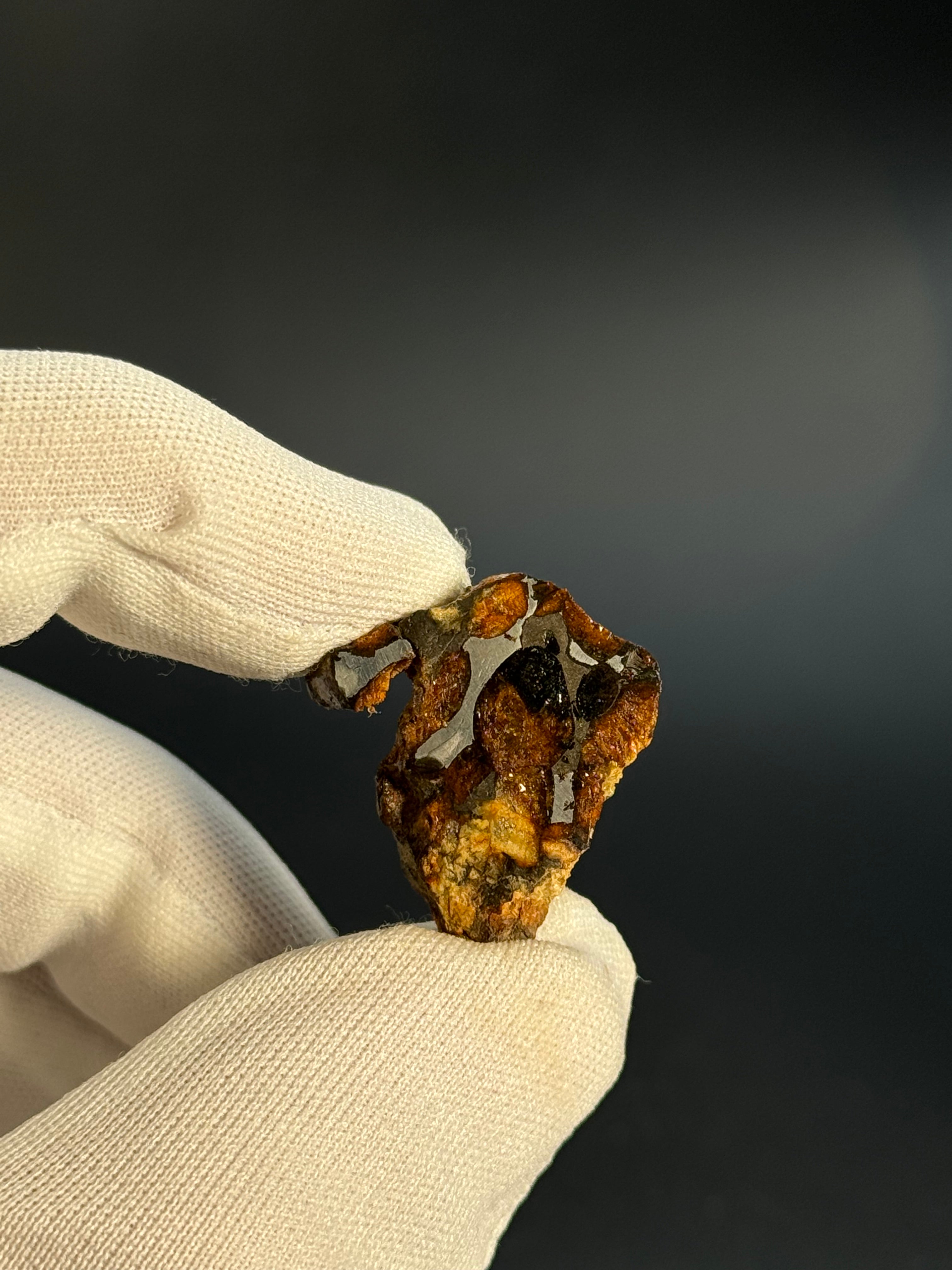 SERICHO PALLASITE METEORITE, KENYA. 5,98 GRAMS END-CUT