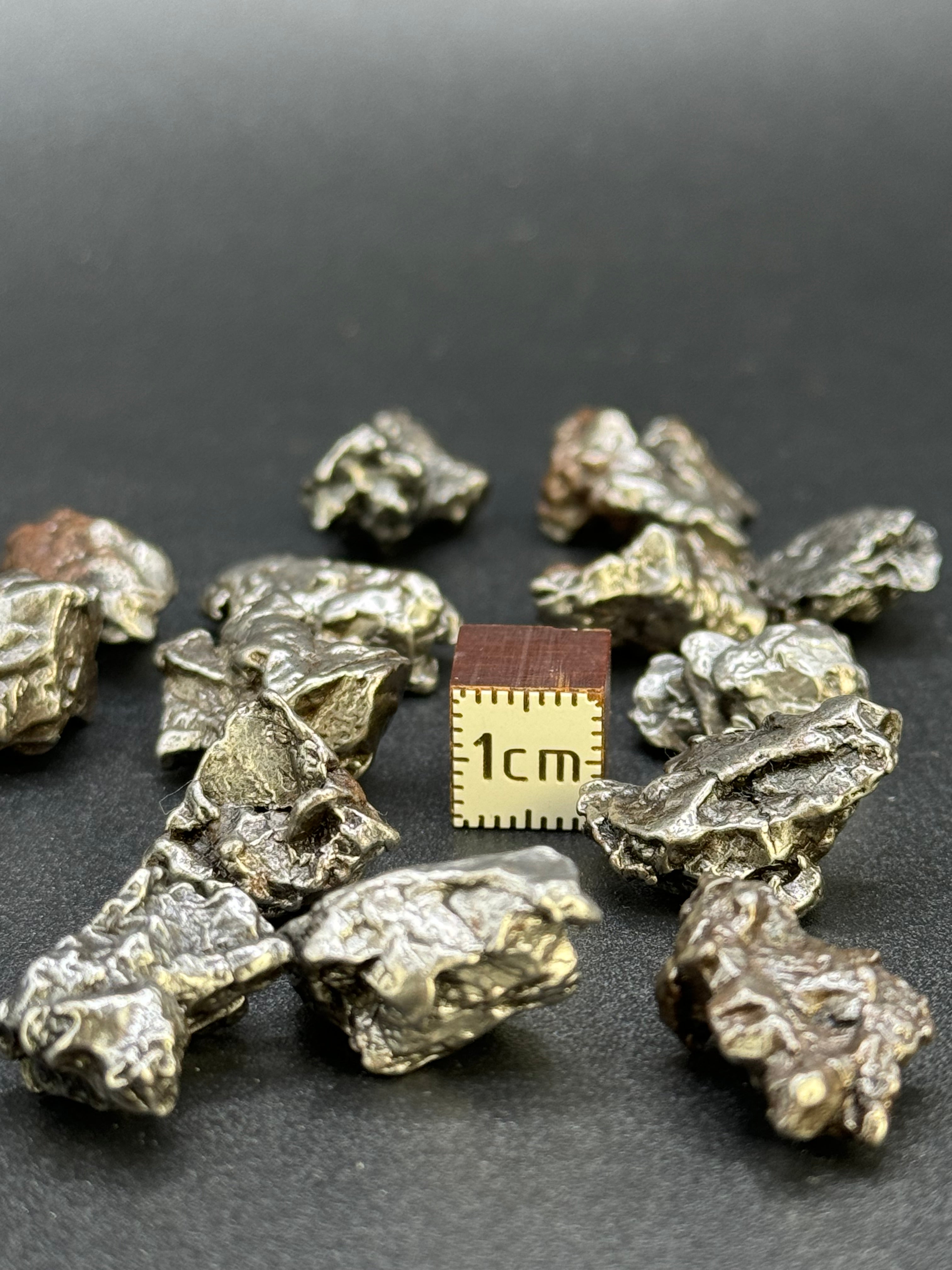 CAMPO DEL CIELO, SOUTH AMERICA. 82,31 GRAMS LOT.