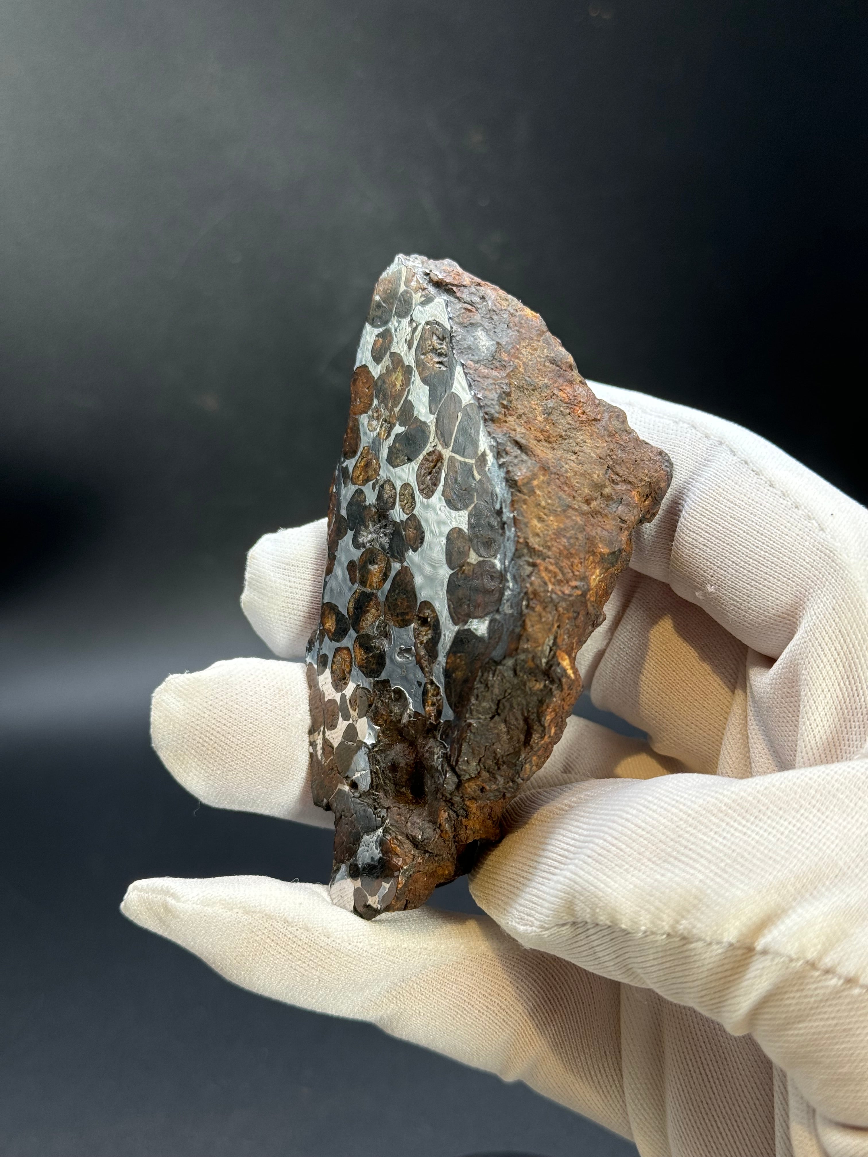 Sericho pallasite meteorite, Kenya. 180,4 grams end-cut.