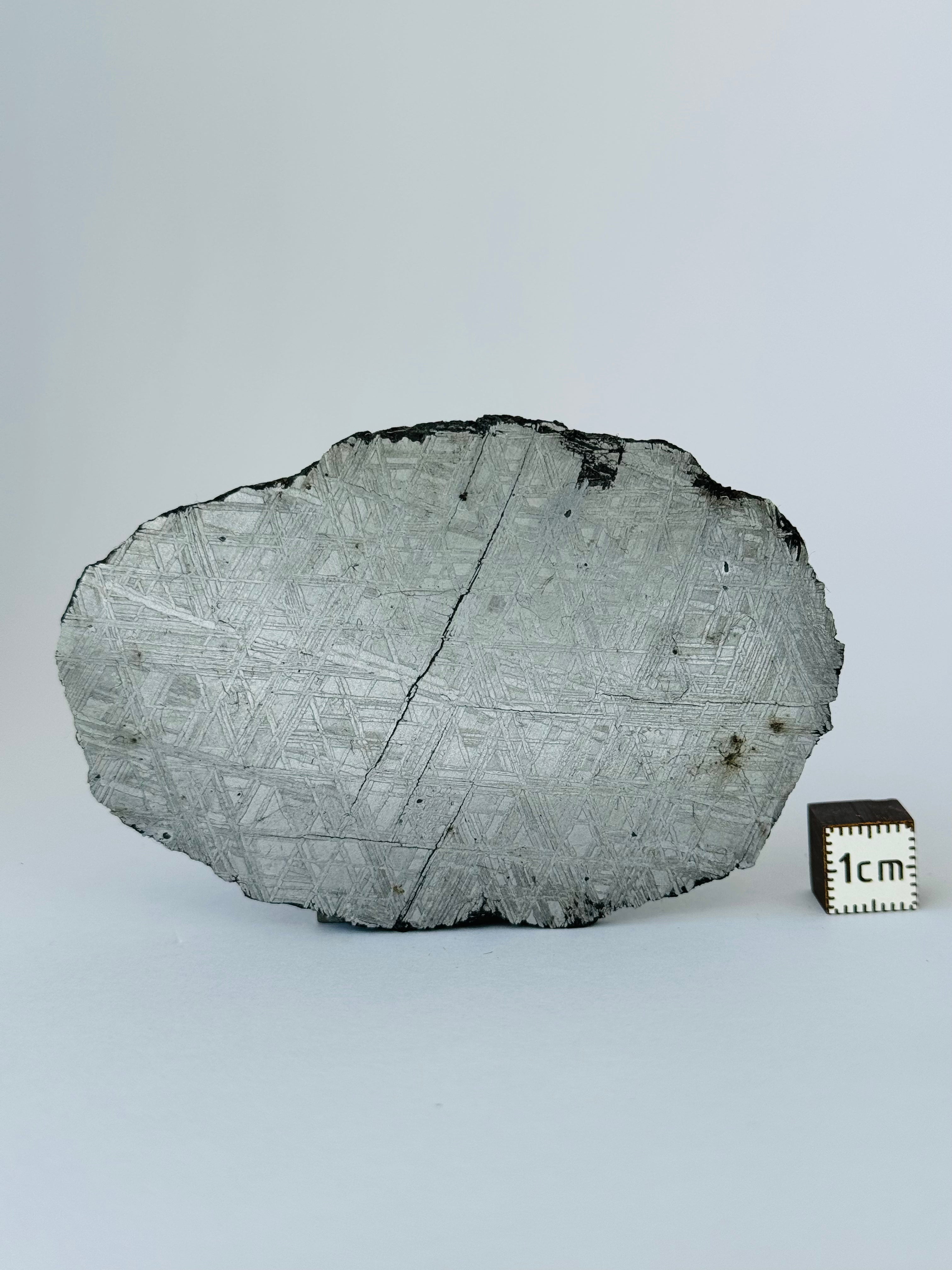 Muonionalusta meteorite, Sweden. 88,96 grams.