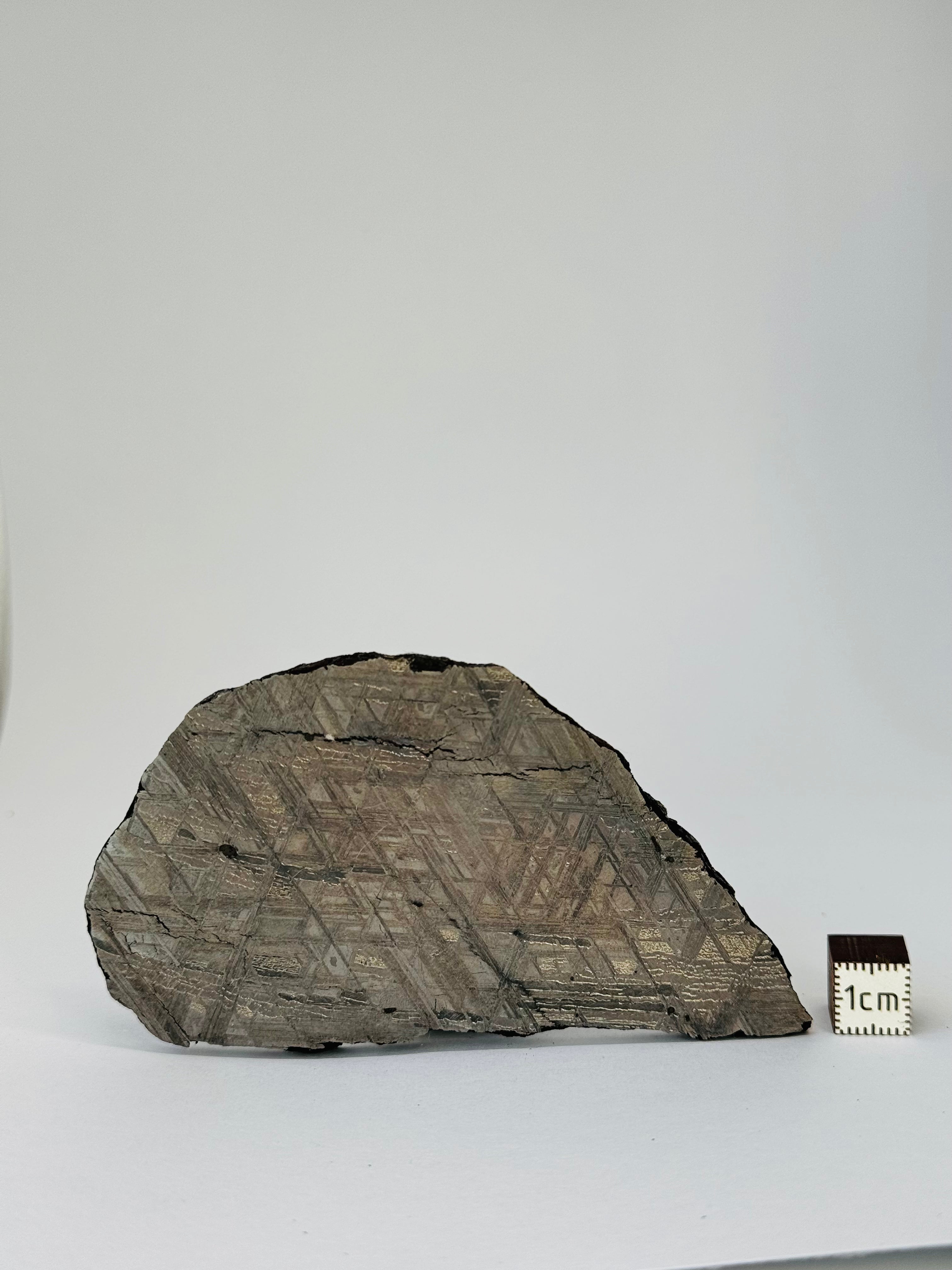 Muonionalusta Meteorite, Sweden. 113,57 grams slice.