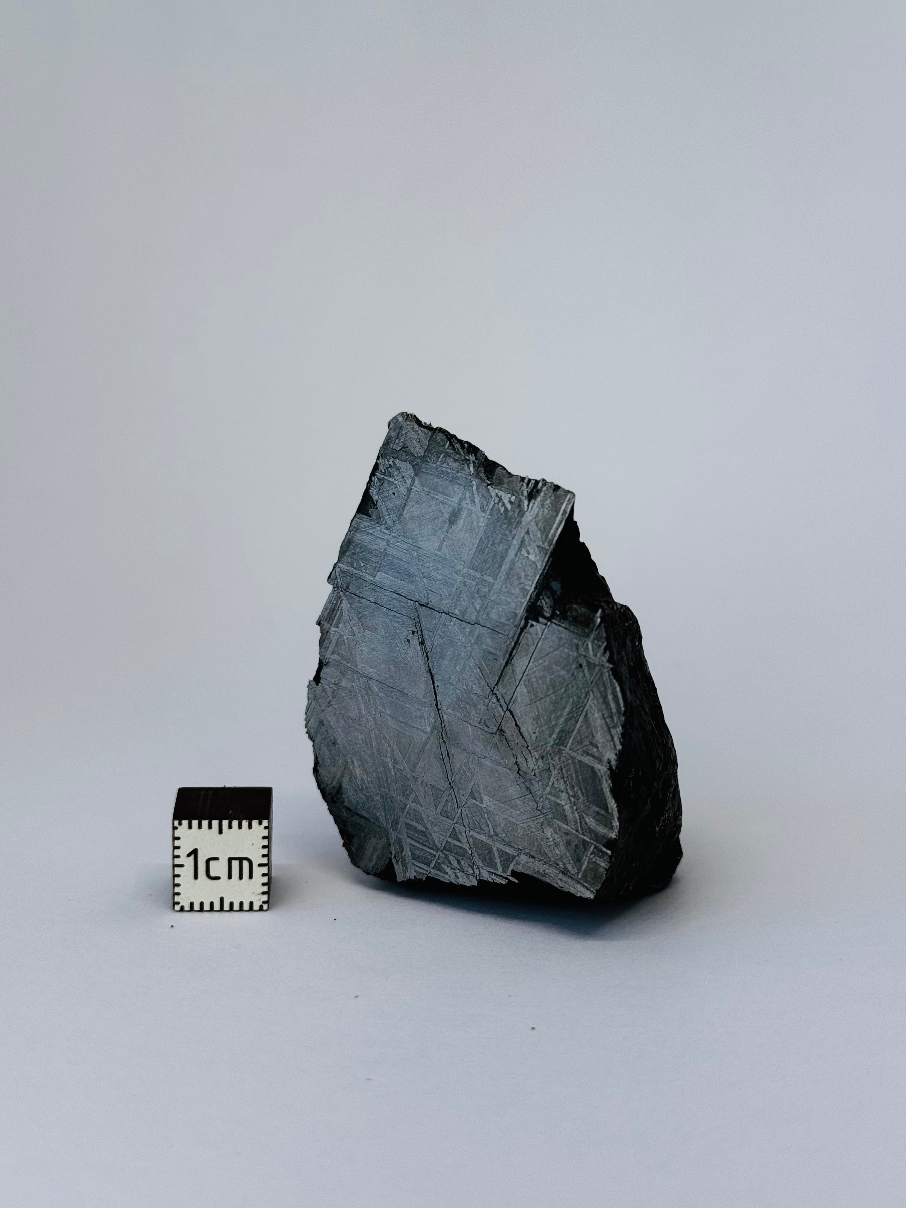 Muonionalusta Meteorite, Sweden.  145,03 grams end-cut.