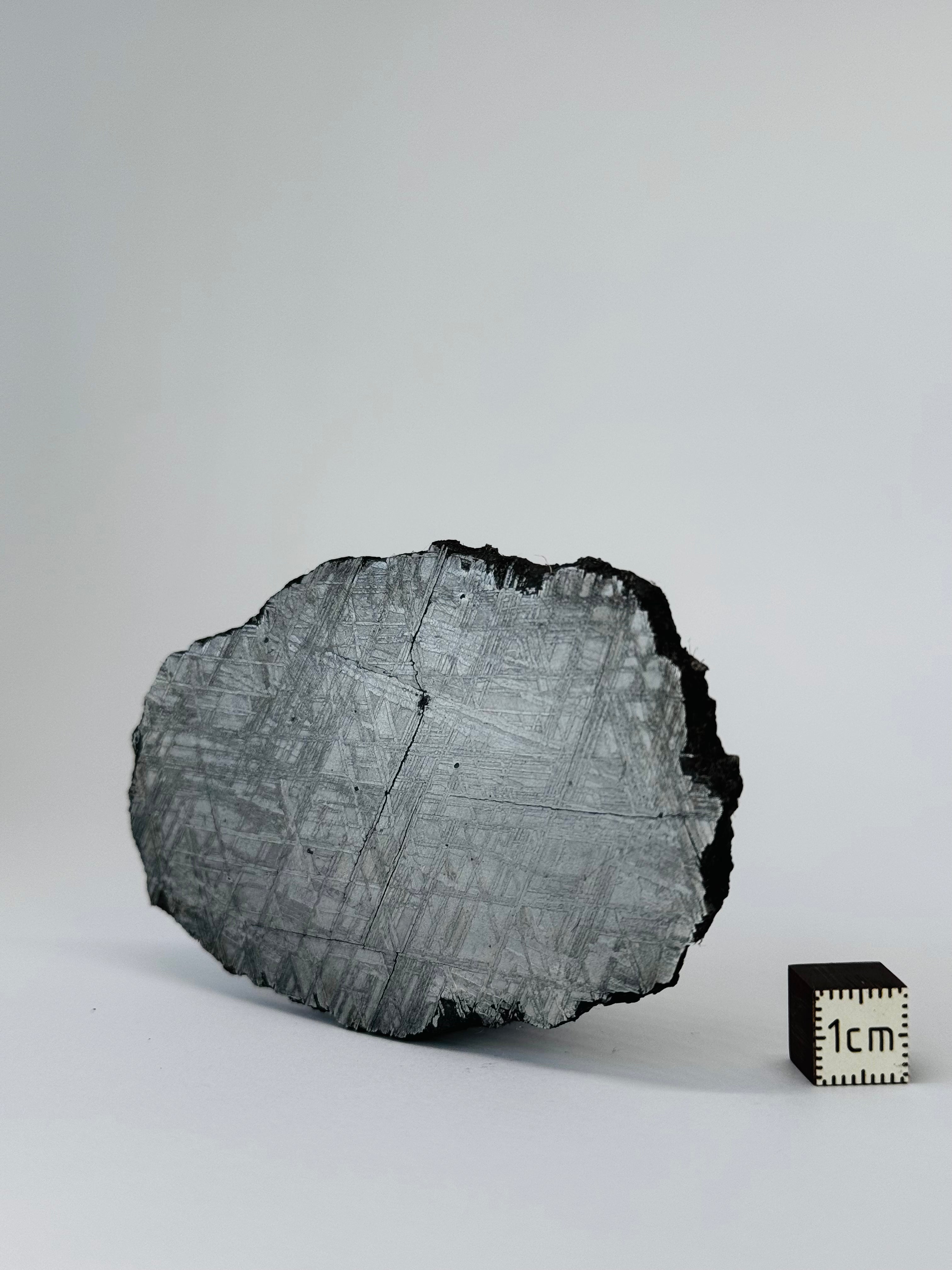 Muonionalusta Meteorite, Sweden. 112,07 grams slice.