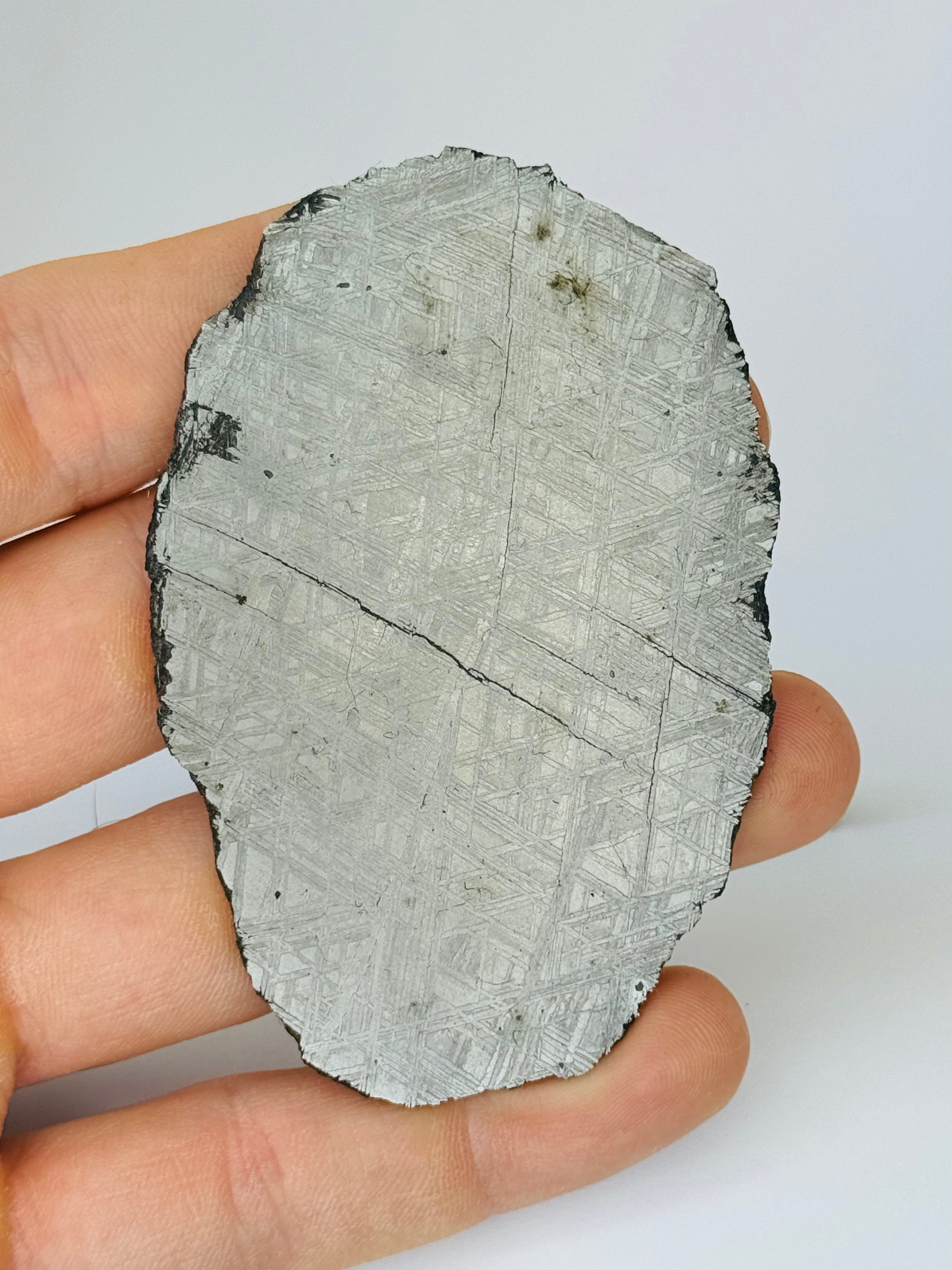 Muonionalusta meteorite, Sweden. 88,96 grams.