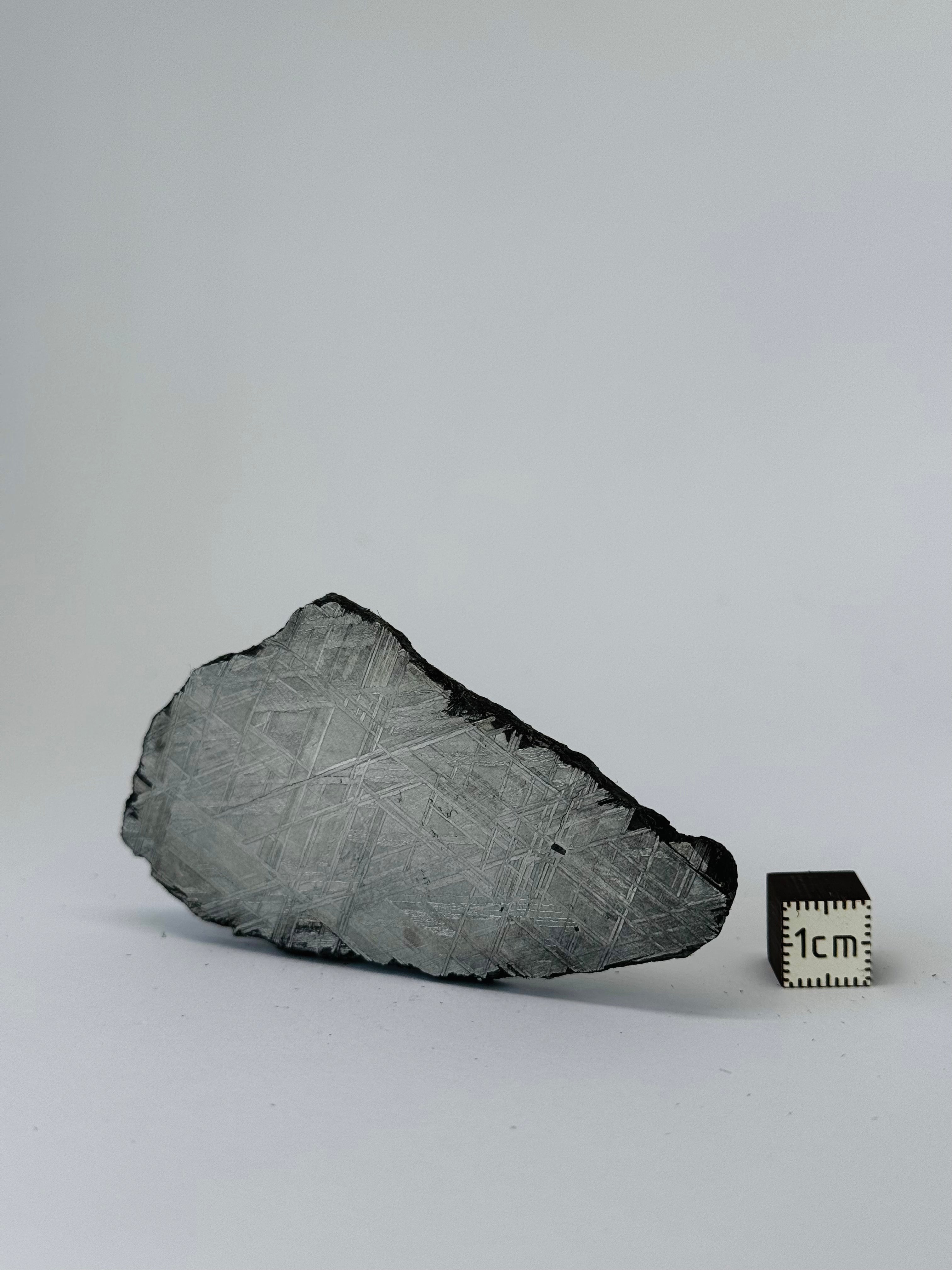 Muonionalusta Meteorite, Sweden. 64,37 grams slice.