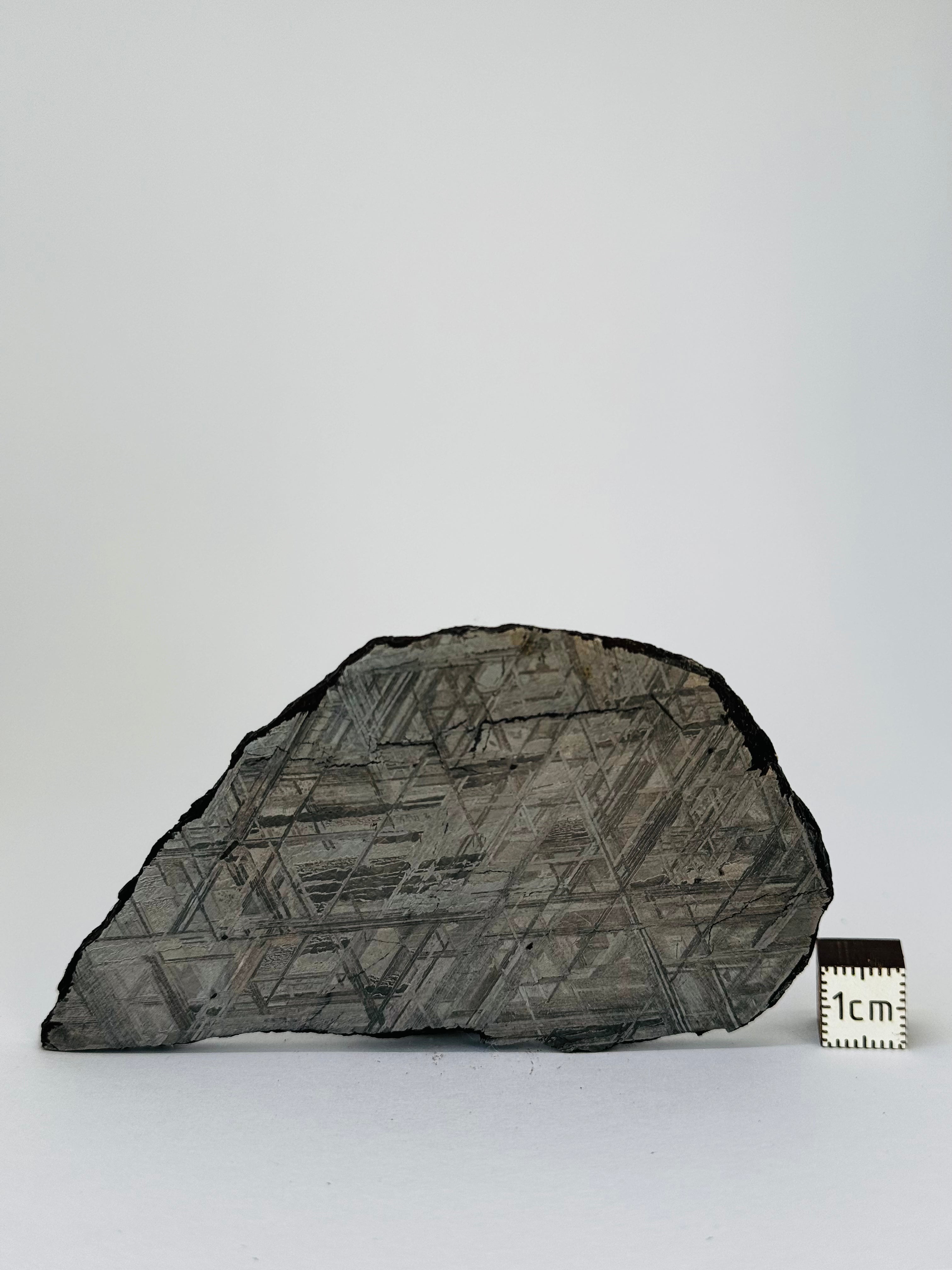 Muonionalusta Meteorite, Sweden. 113,57 grams slice.