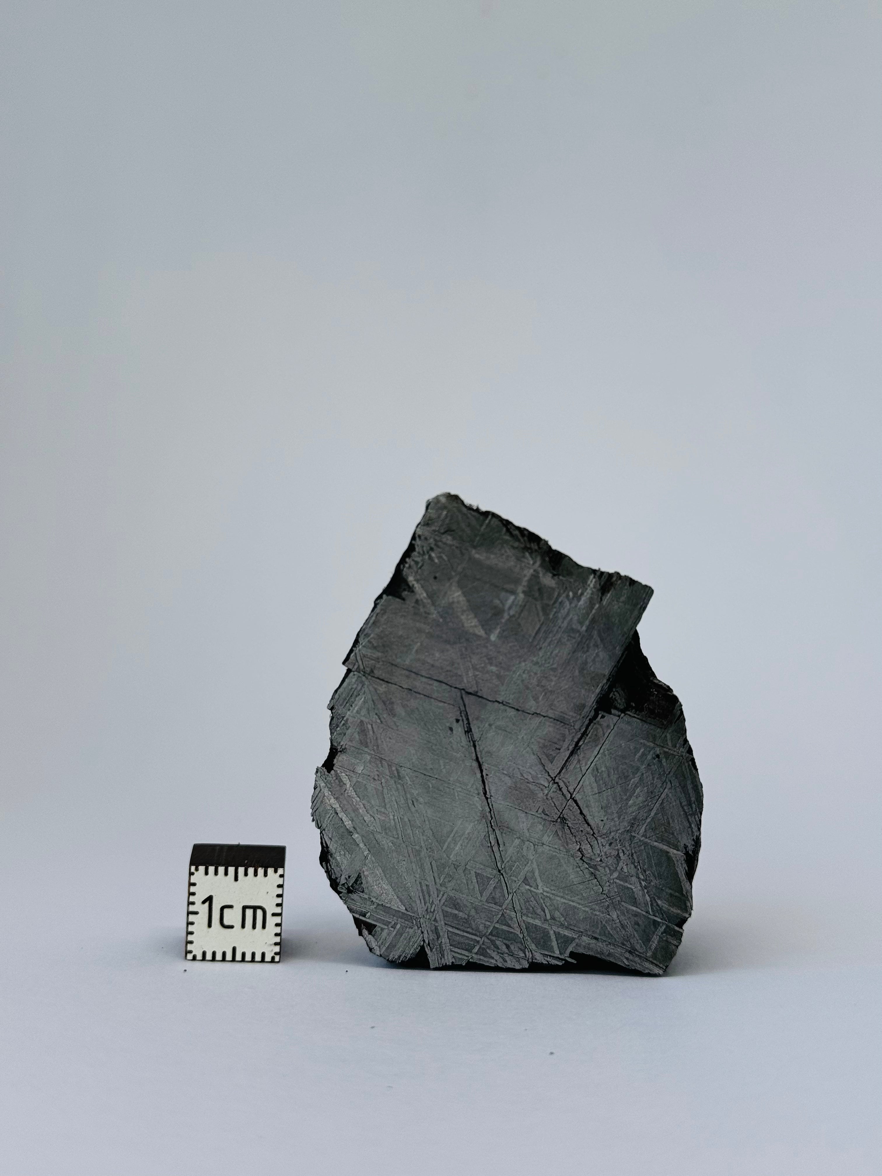Muonionalusta Meteorite, Sweden.  145,03 grams end-cut.