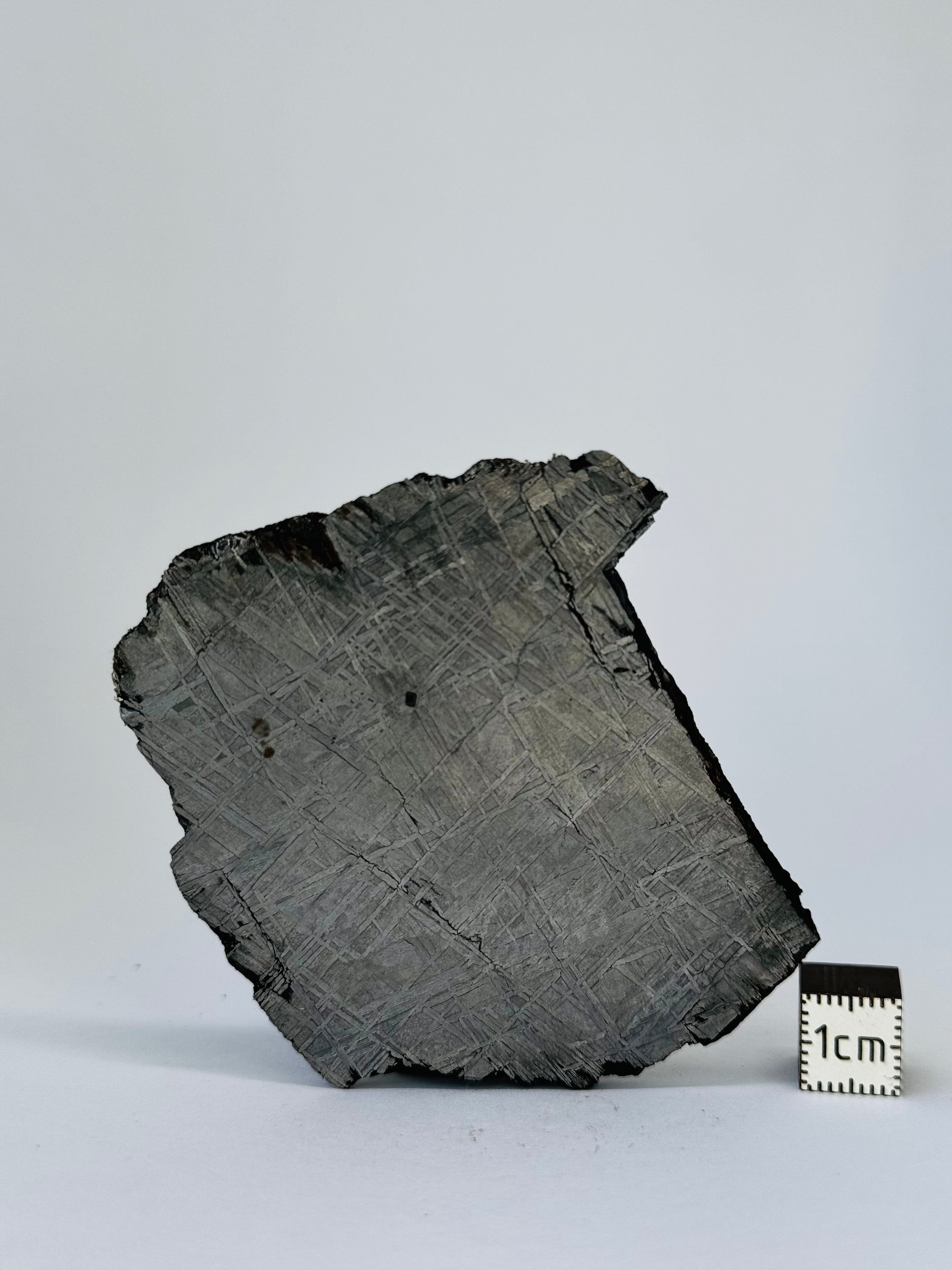 Muonionalusta Meteorite, Sweden. 69,17 grams slice.