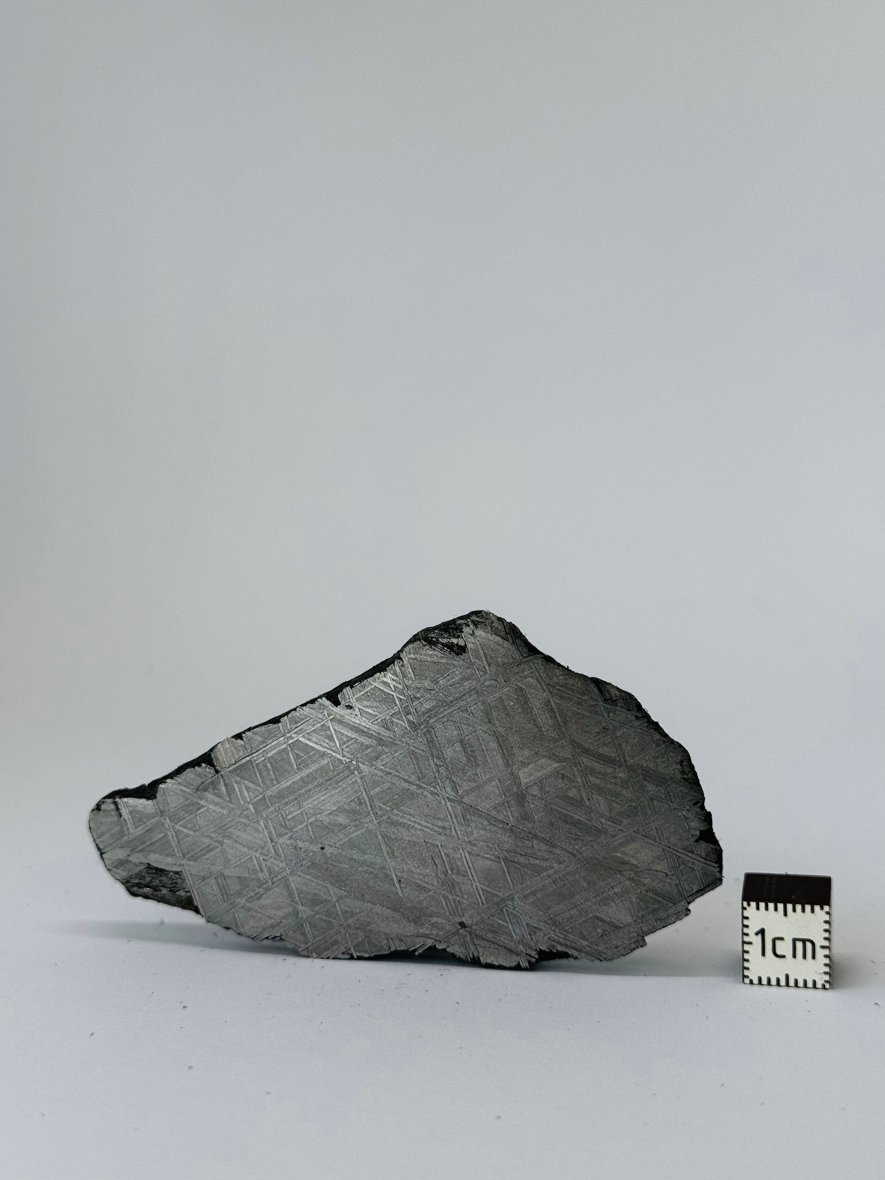 Muonionalusta Meteorite, Sweden. 64,37 grams slice.
