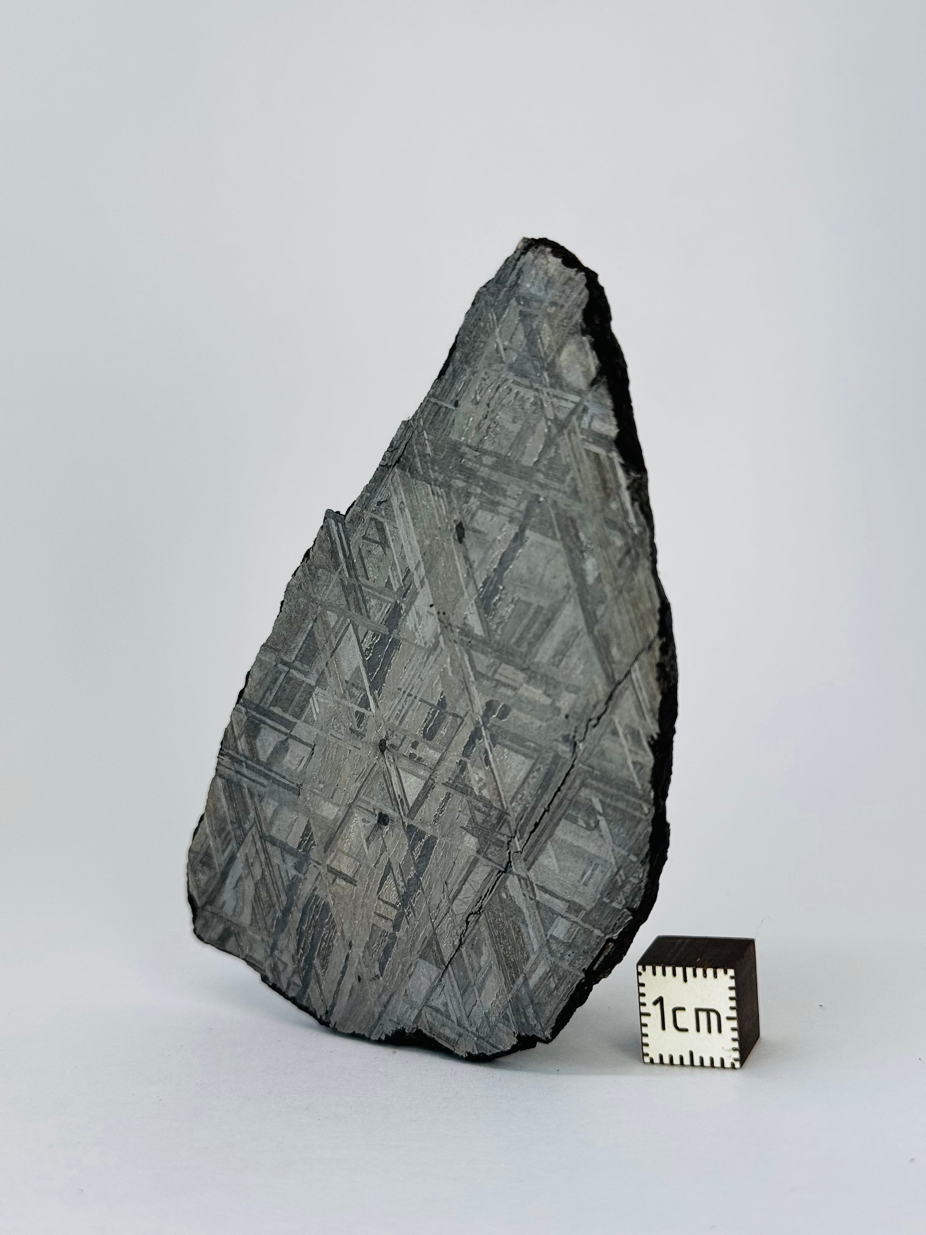 Muonionalusta Meteorite, Sweden. 98,36 grams slice.