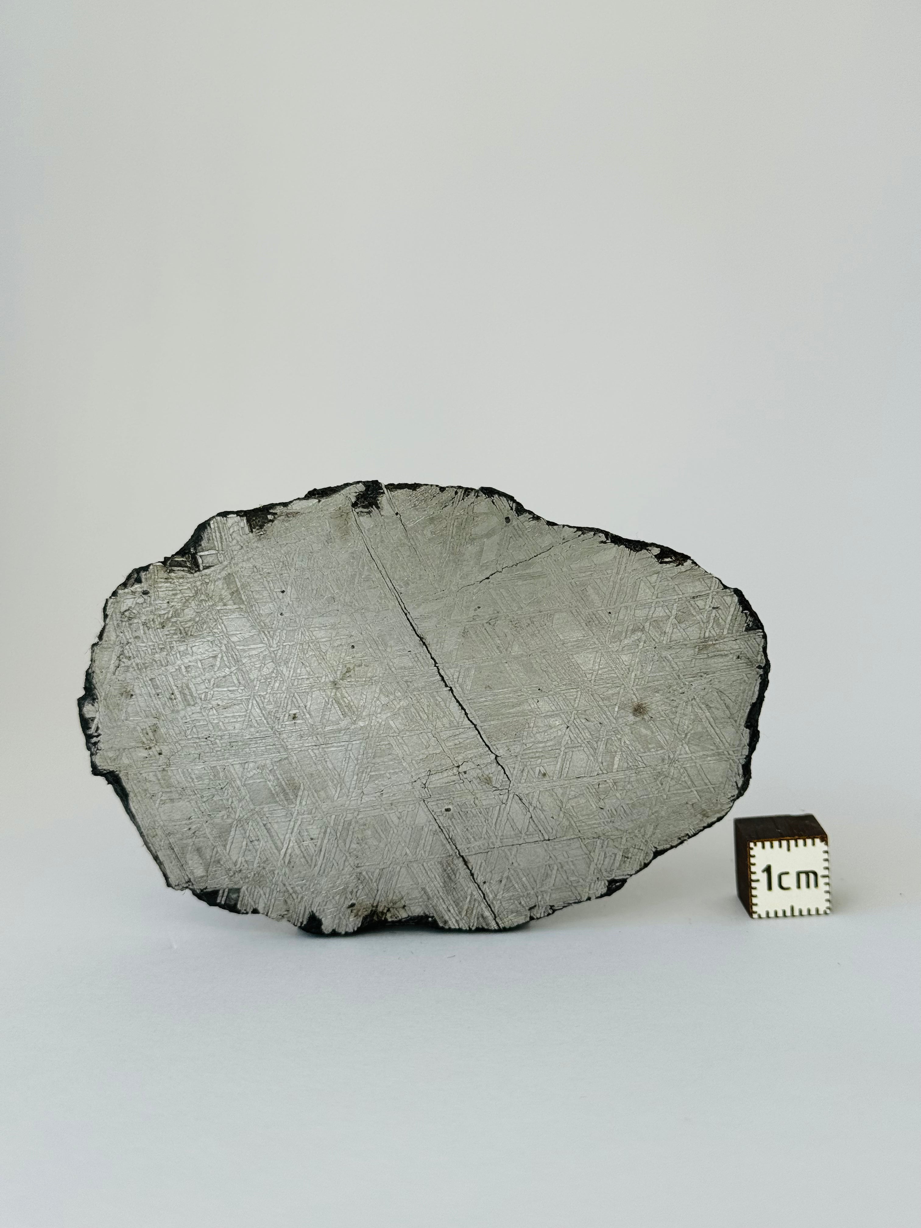 Muonionalusta meteorite, Sweden. 88,96 grams.