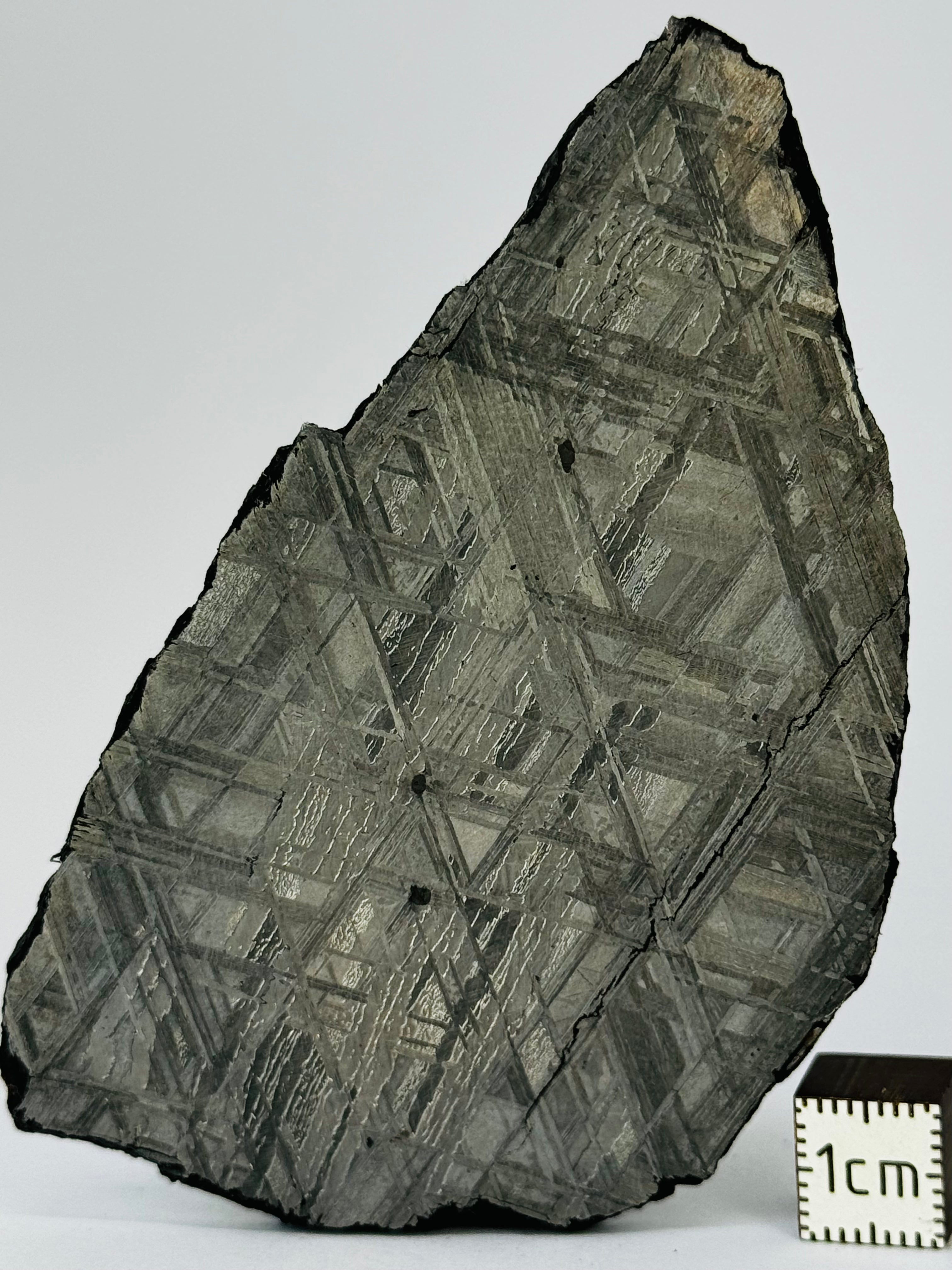 Muonionalusta Meteorite, Sweden. 98,36 grams slice.