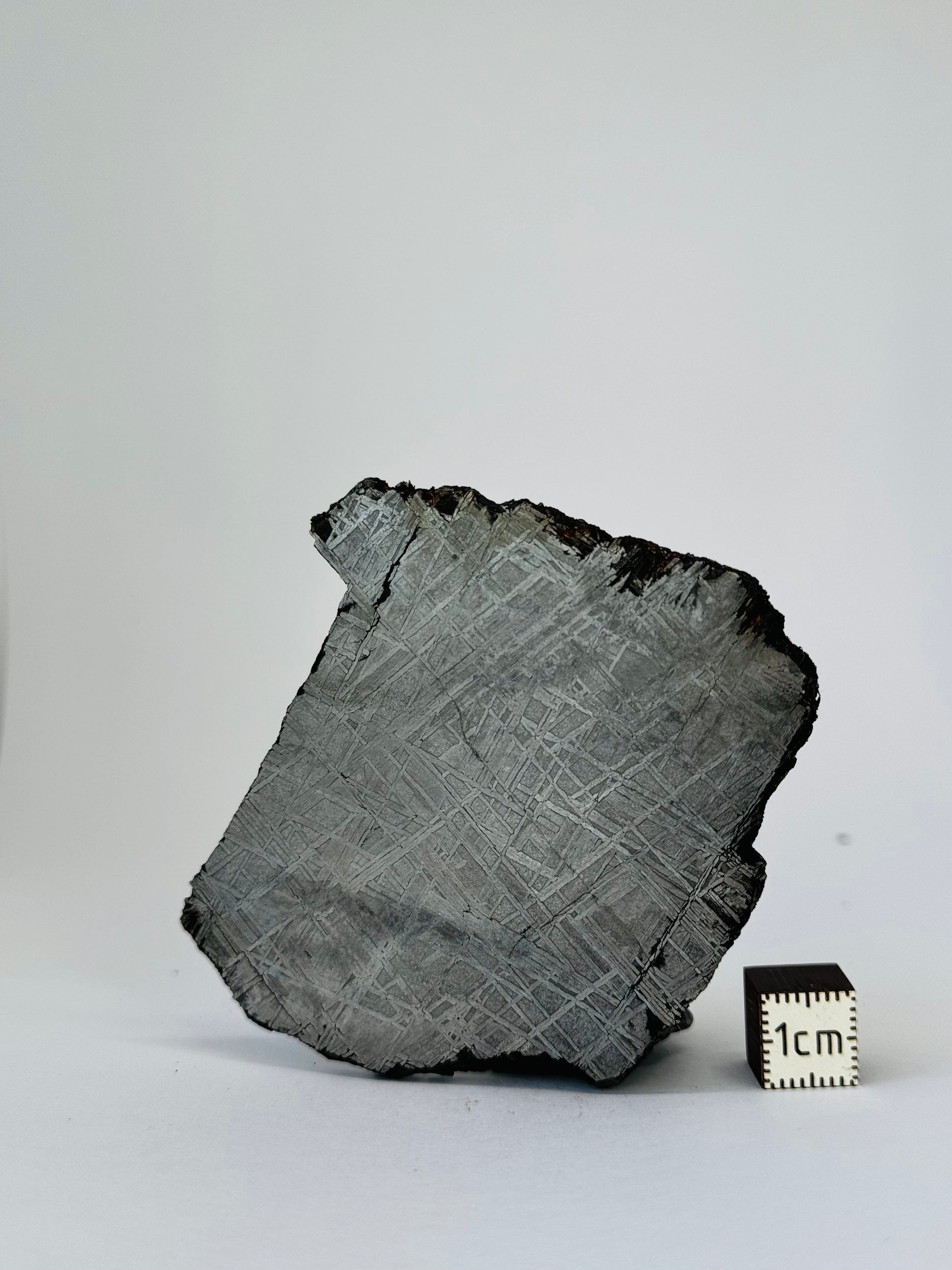 Muonionalusta Meteorite, Sweden. 69,17 grams slice.