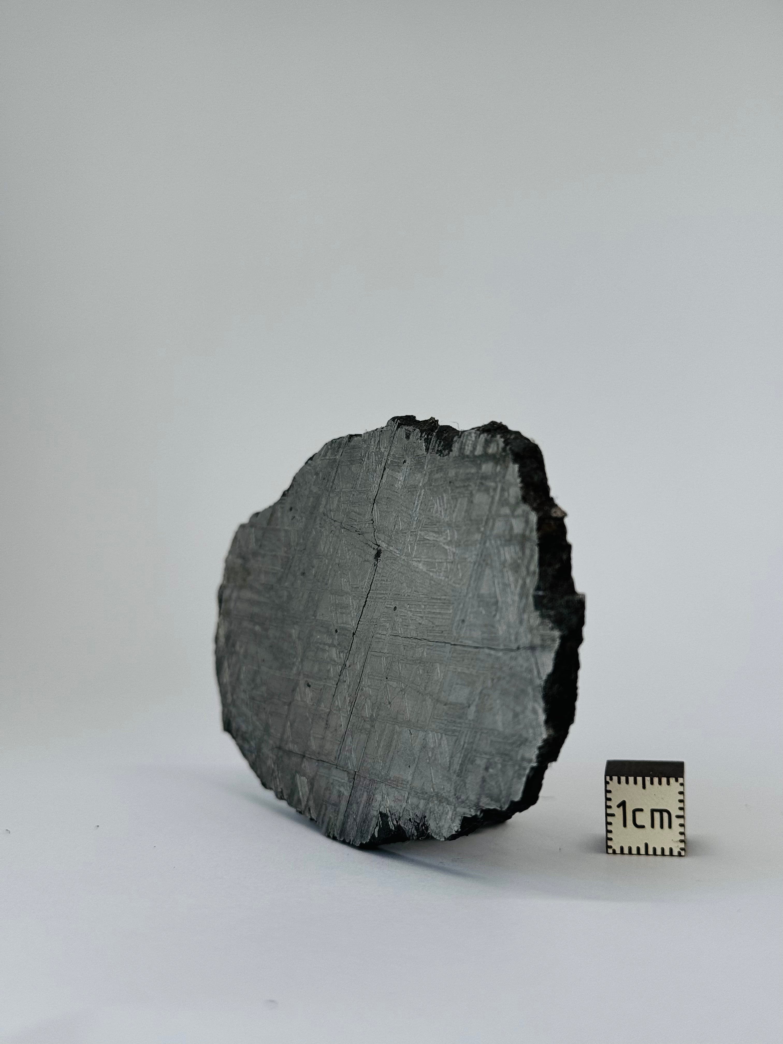 Muonionalusta Meteorite, Sweden. 112,07 grams slice.