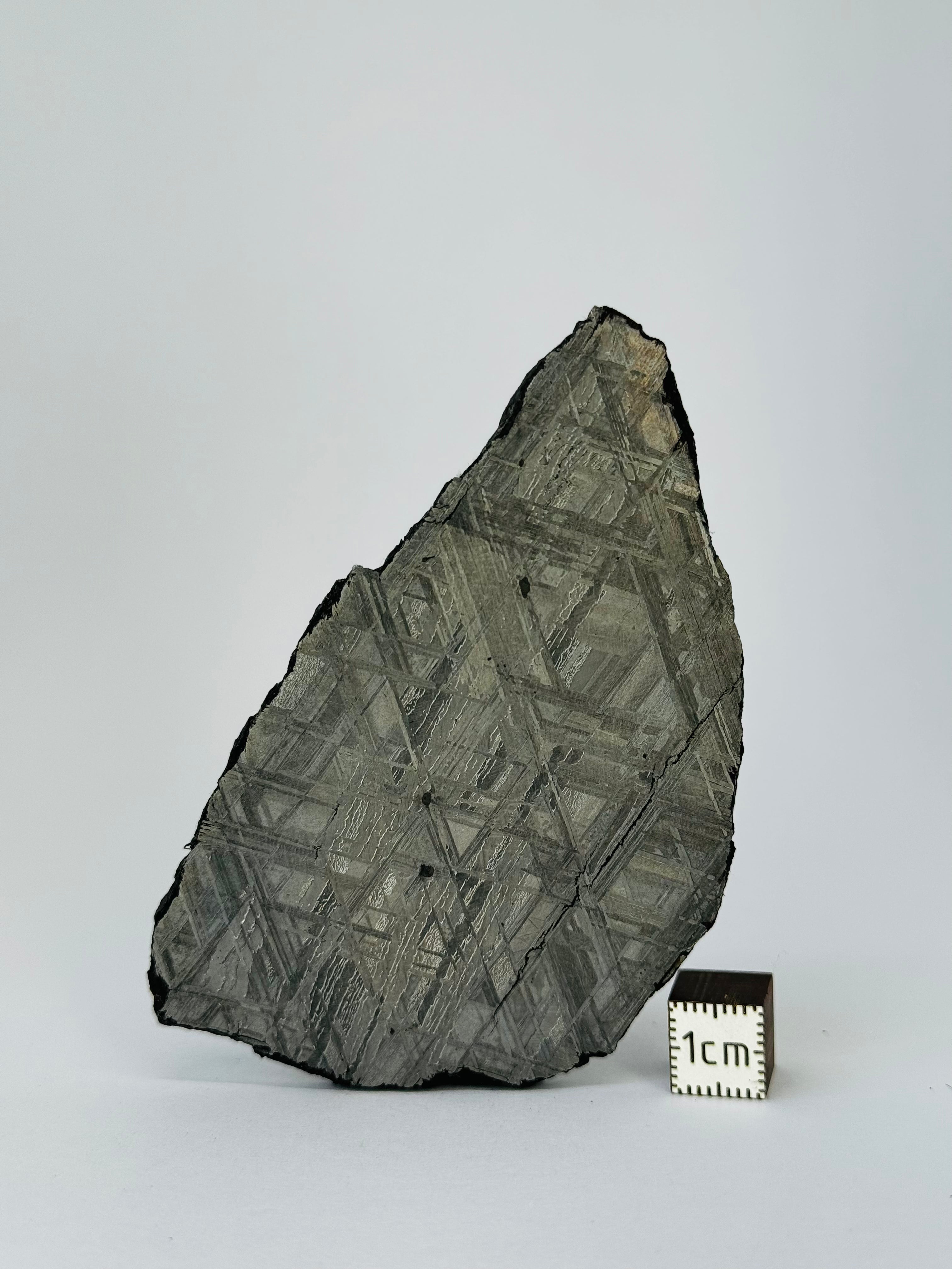 Muonionalusta Meteorite, Sweden. 98,36 grams slice.