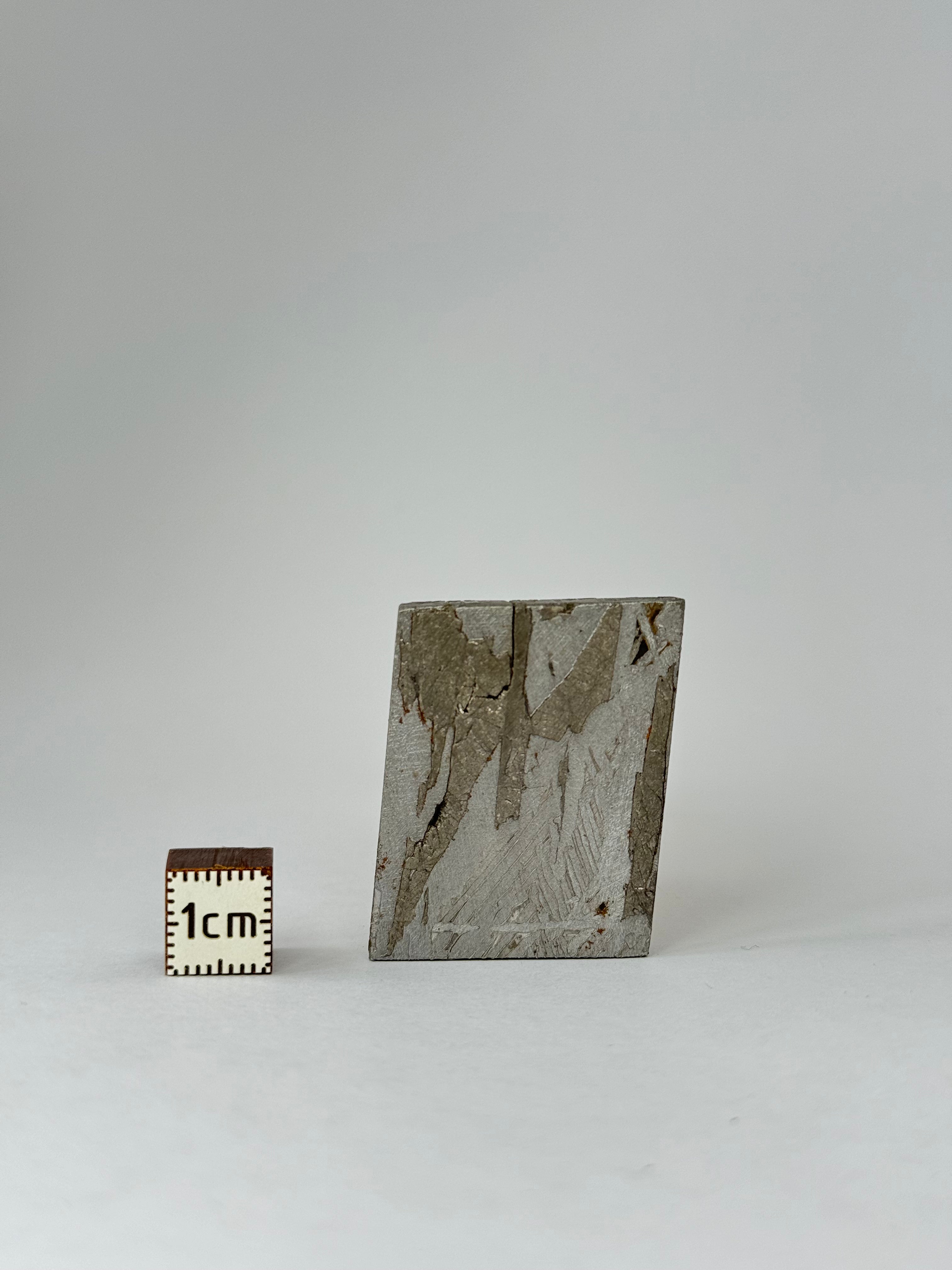 Aletai meteorite, Gobi Desert, China. 31,75 grams.