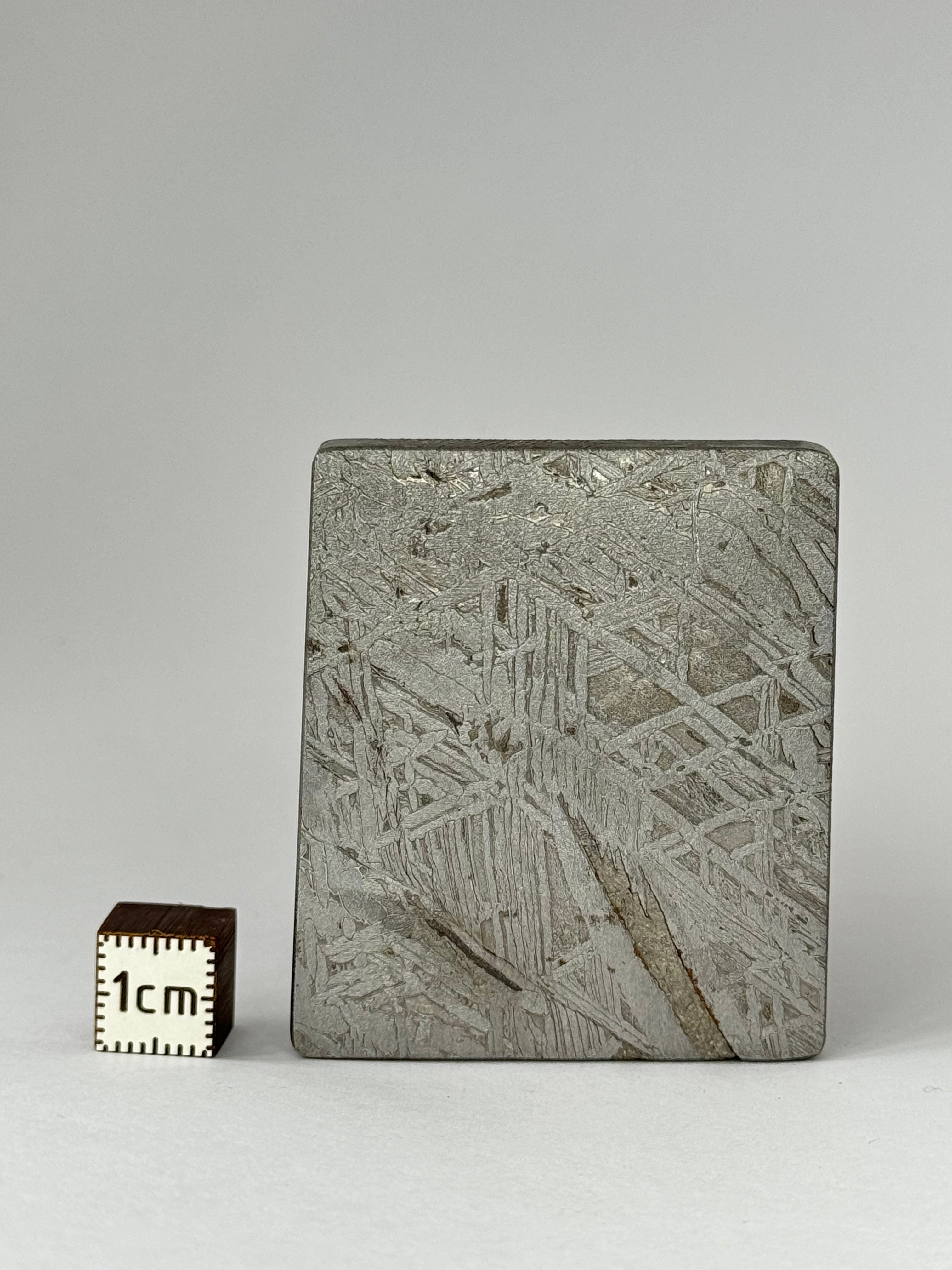 Aletai Meteorite, Gobi desert, China. 84,38 grams.