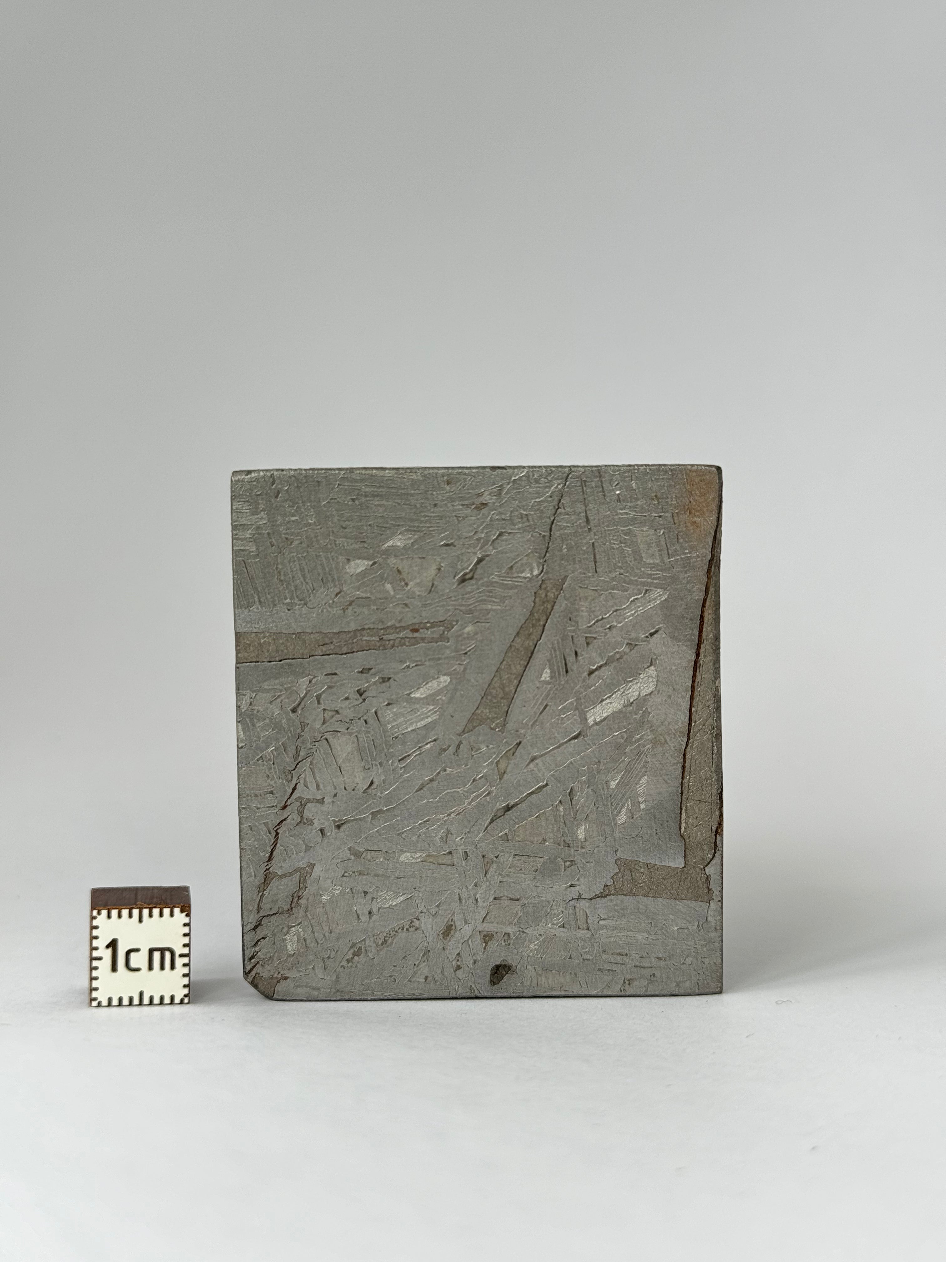 Aletai meteorite, Gobi Desert, China. 88,83 grams.