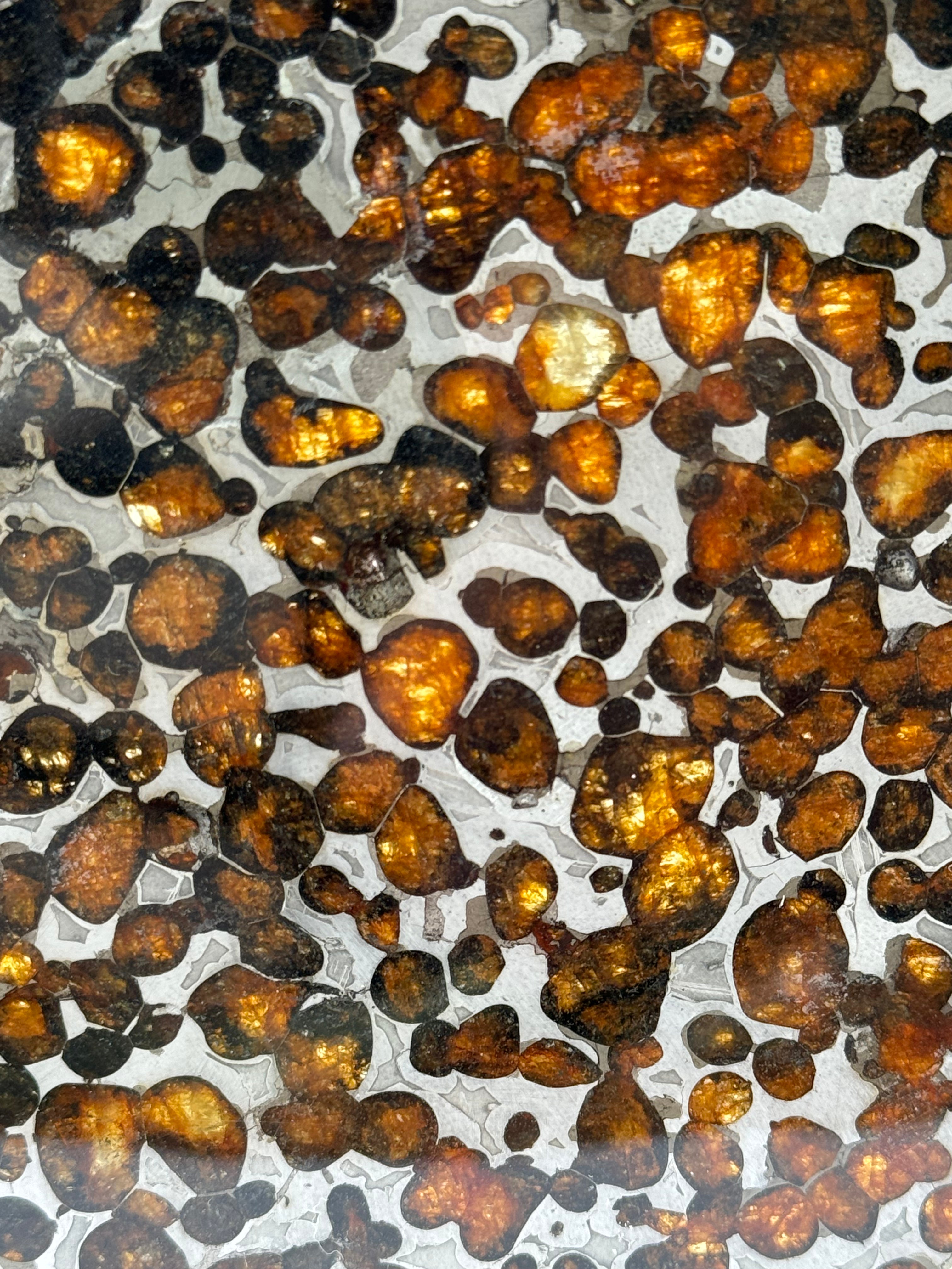 Sericho meteorite, Kenya. 87,90 grams.