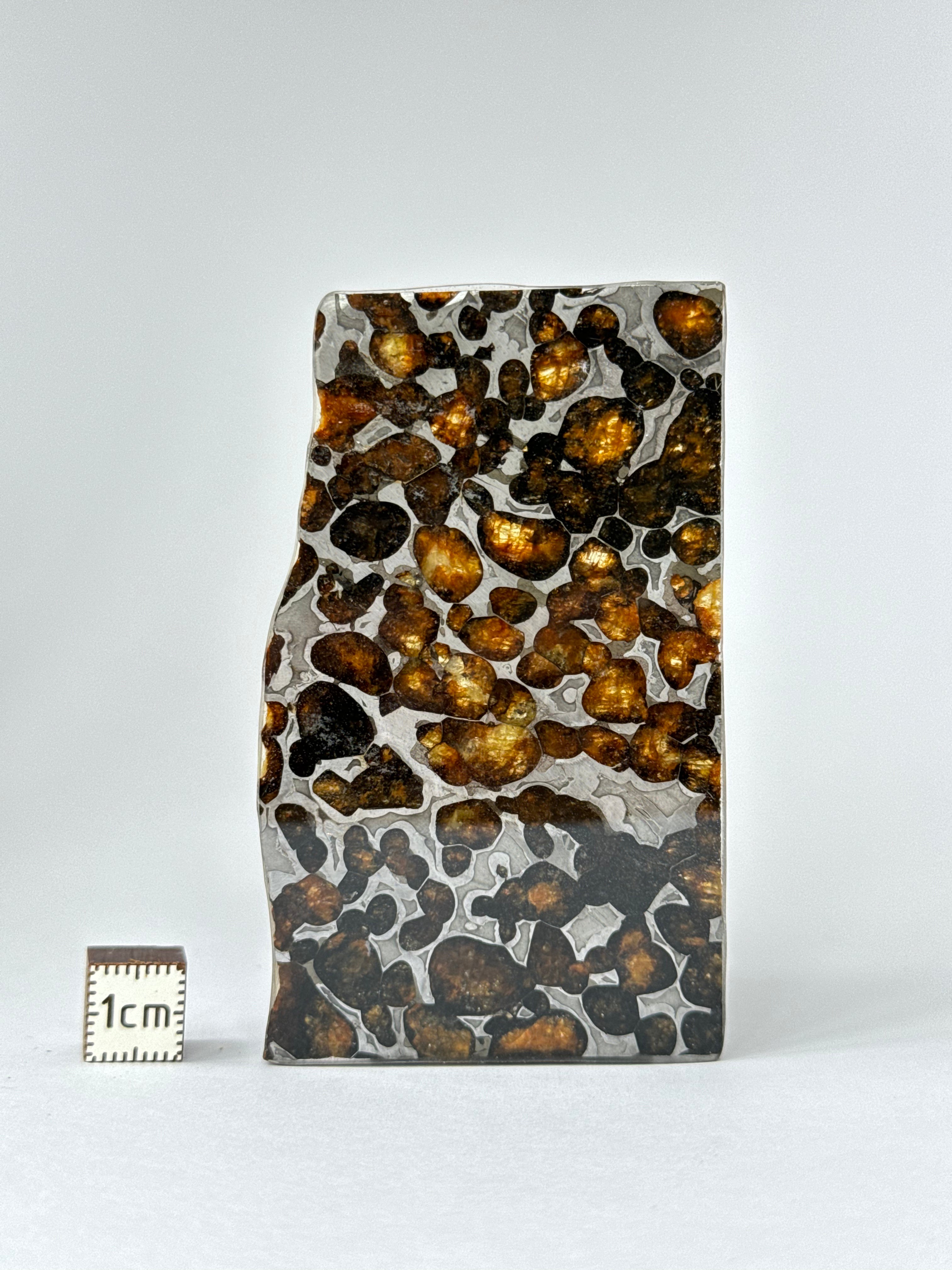 Sericho meteorite, Kenya. 23,71 grams.