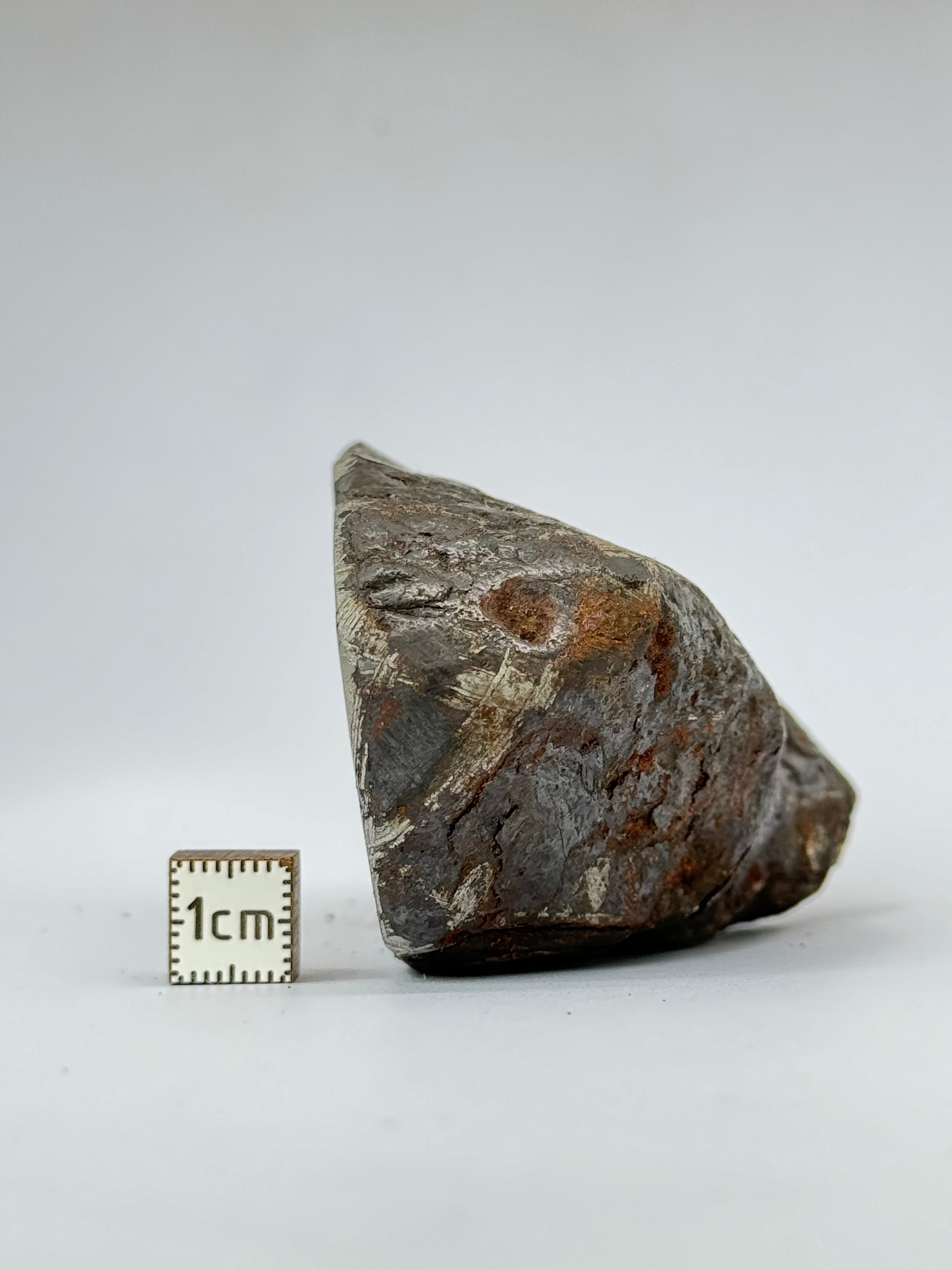 Muonionalusta meteorite, Sweden.  580g end-cut.