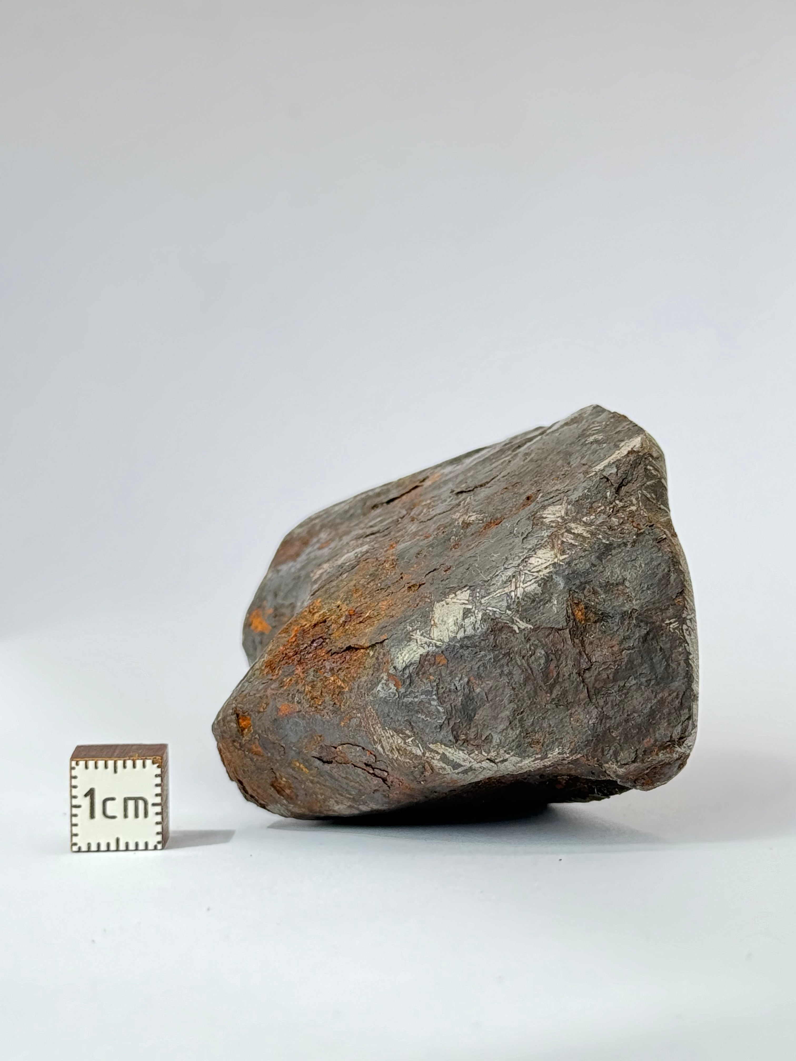Muonionalusta meteorite, Sweden.  580g end-cut.