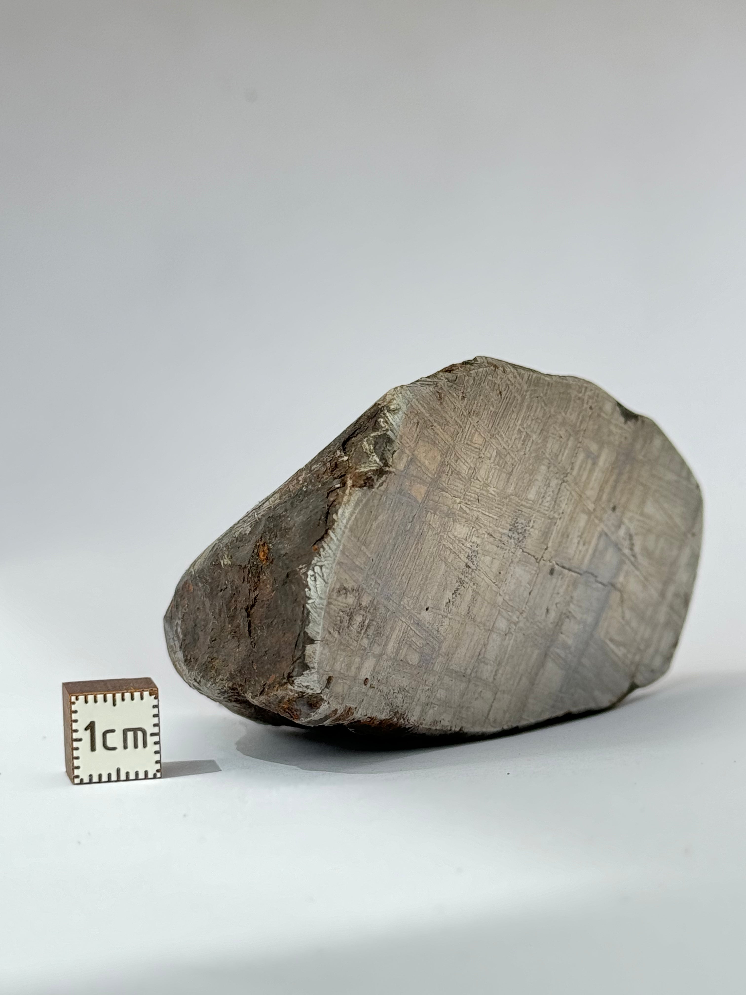 Muonionalusta meteorite, Sweden.  580g end-cut.
