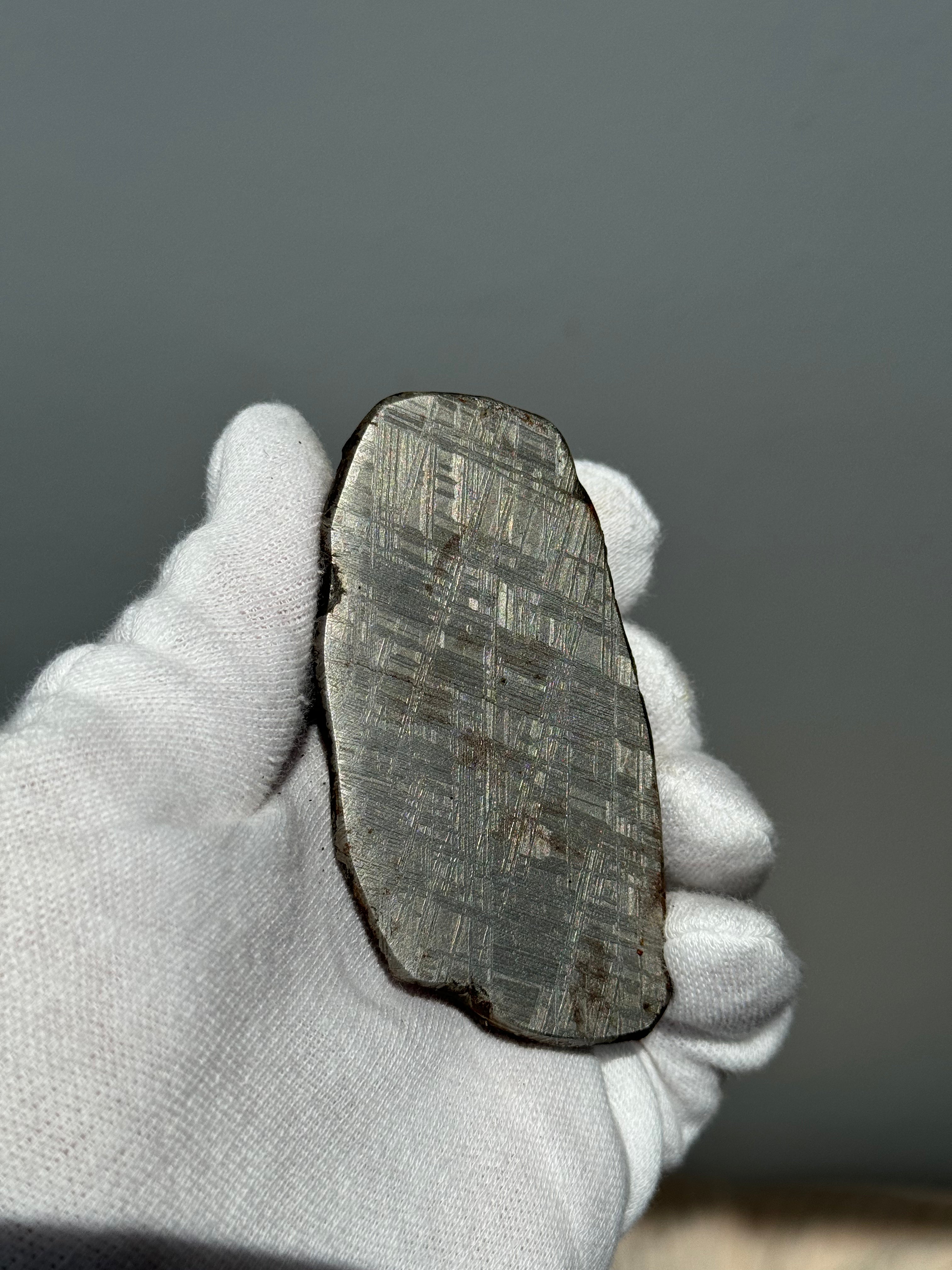 Muonionalusta meteorite, Sweden.  580g end-cut.