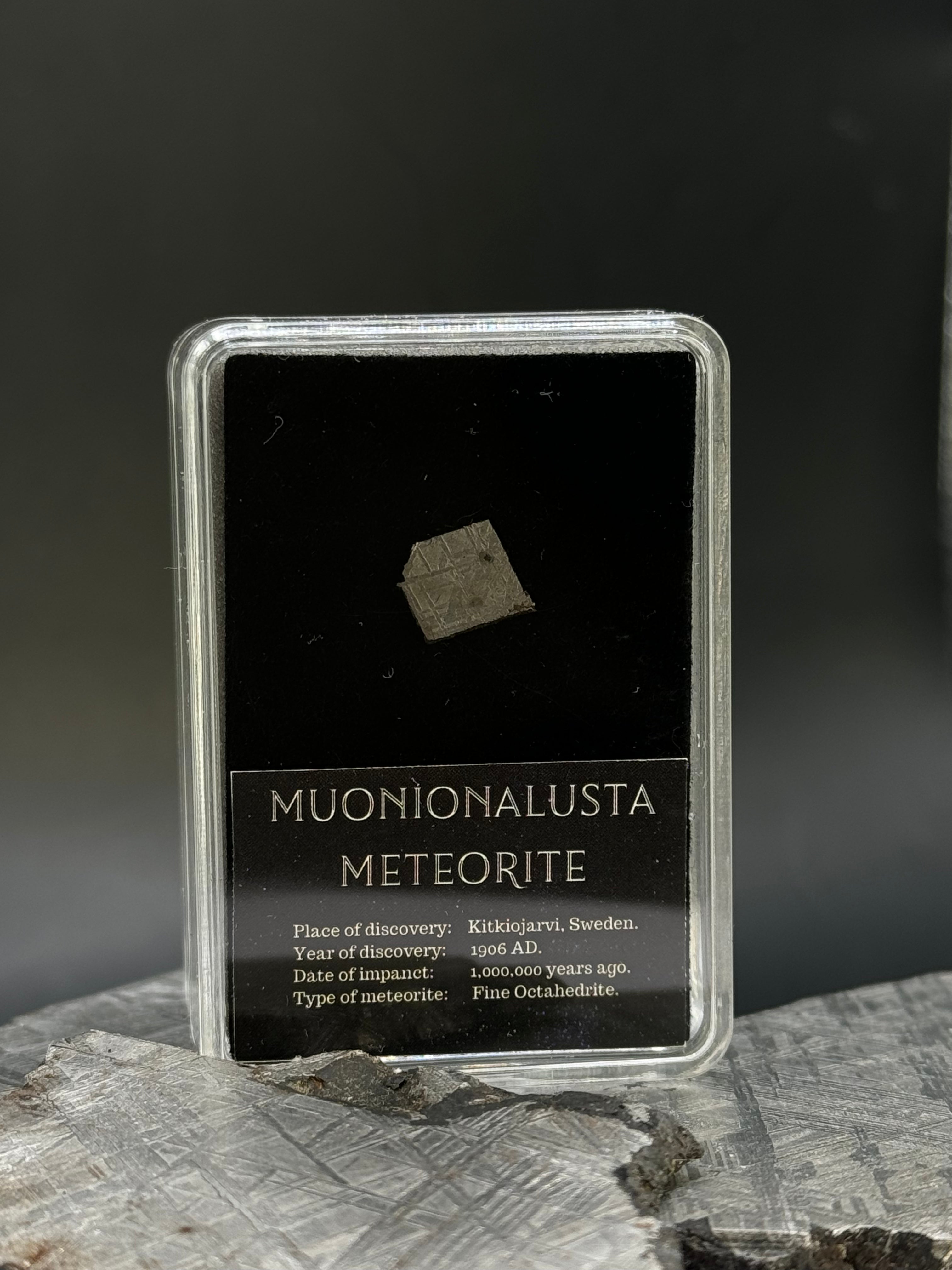 Muonionalusta Meteorite in Display box, 1 gram.
