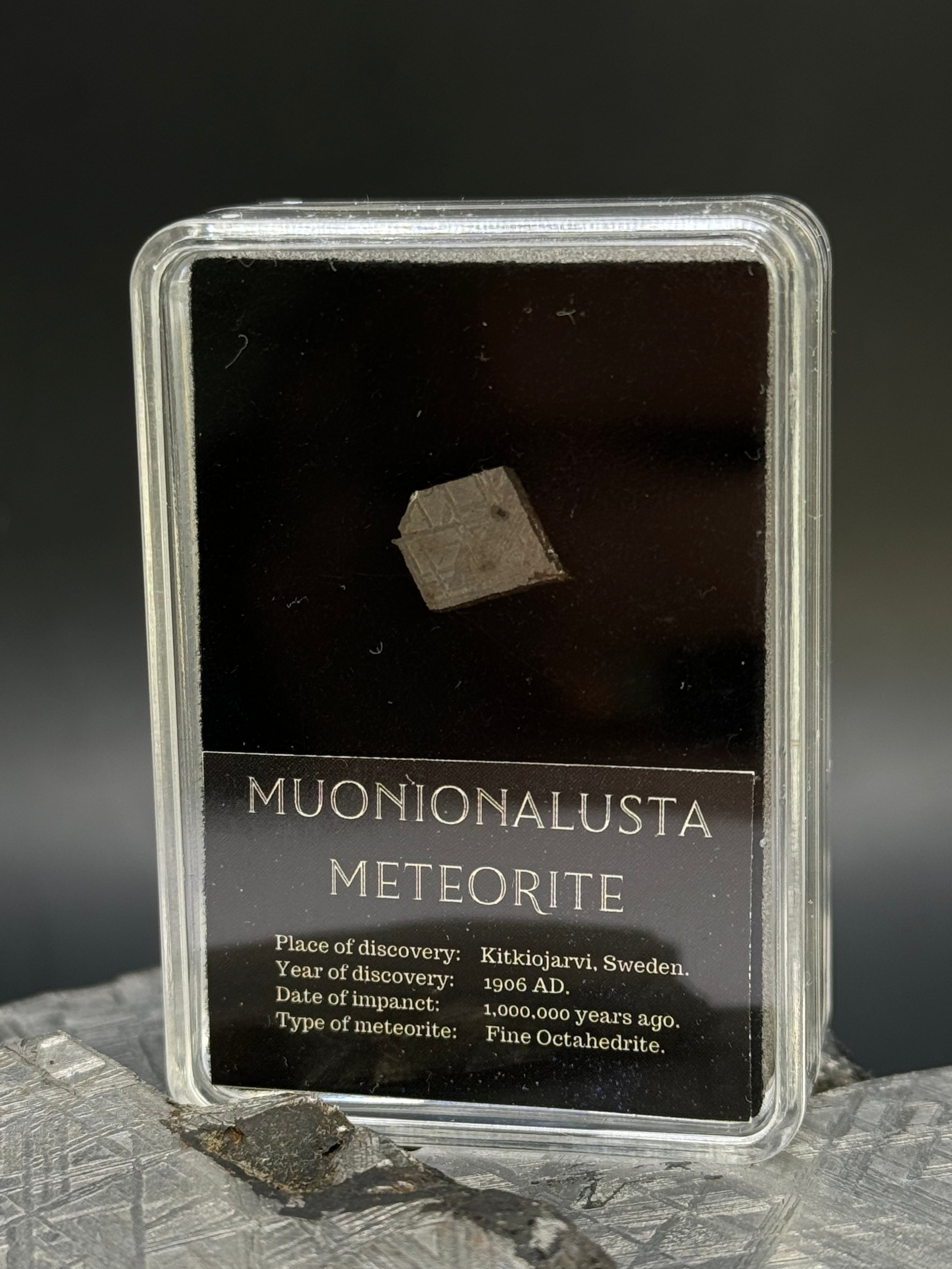 Muonionalusta Meteorite in Display box, 1 gram.