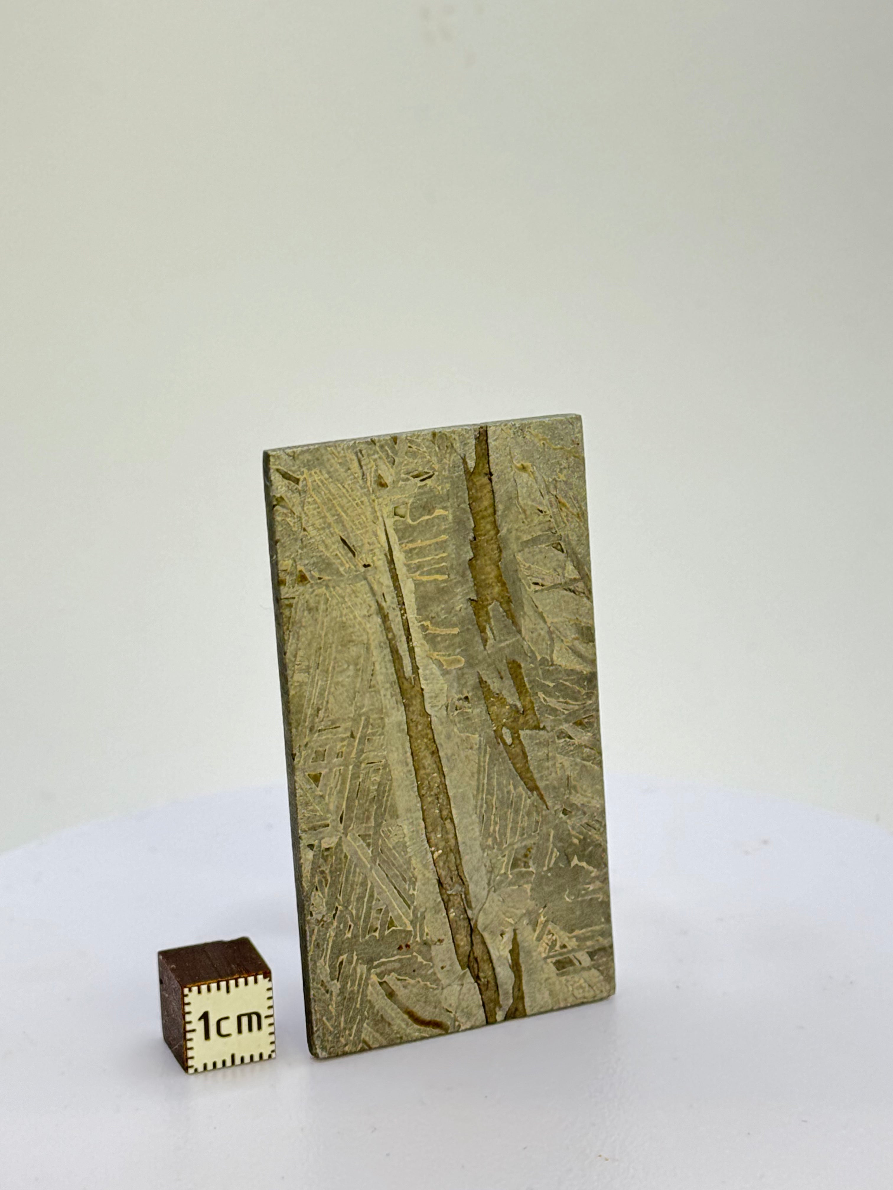 Aletai meteorite, Gobi desert, China. 44,53 grams.