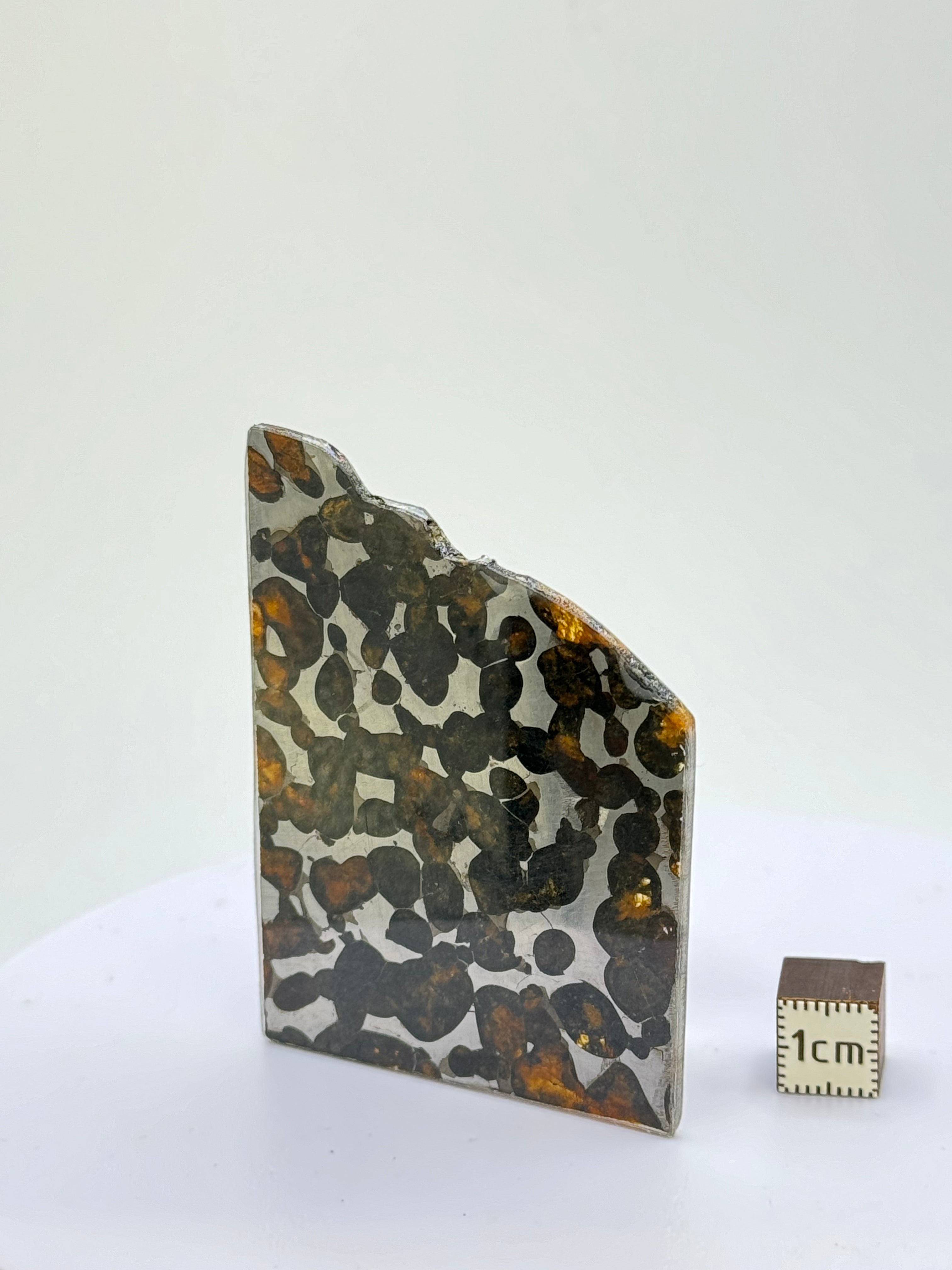 Sericho meteorite, Kenya. 17,74 grams.