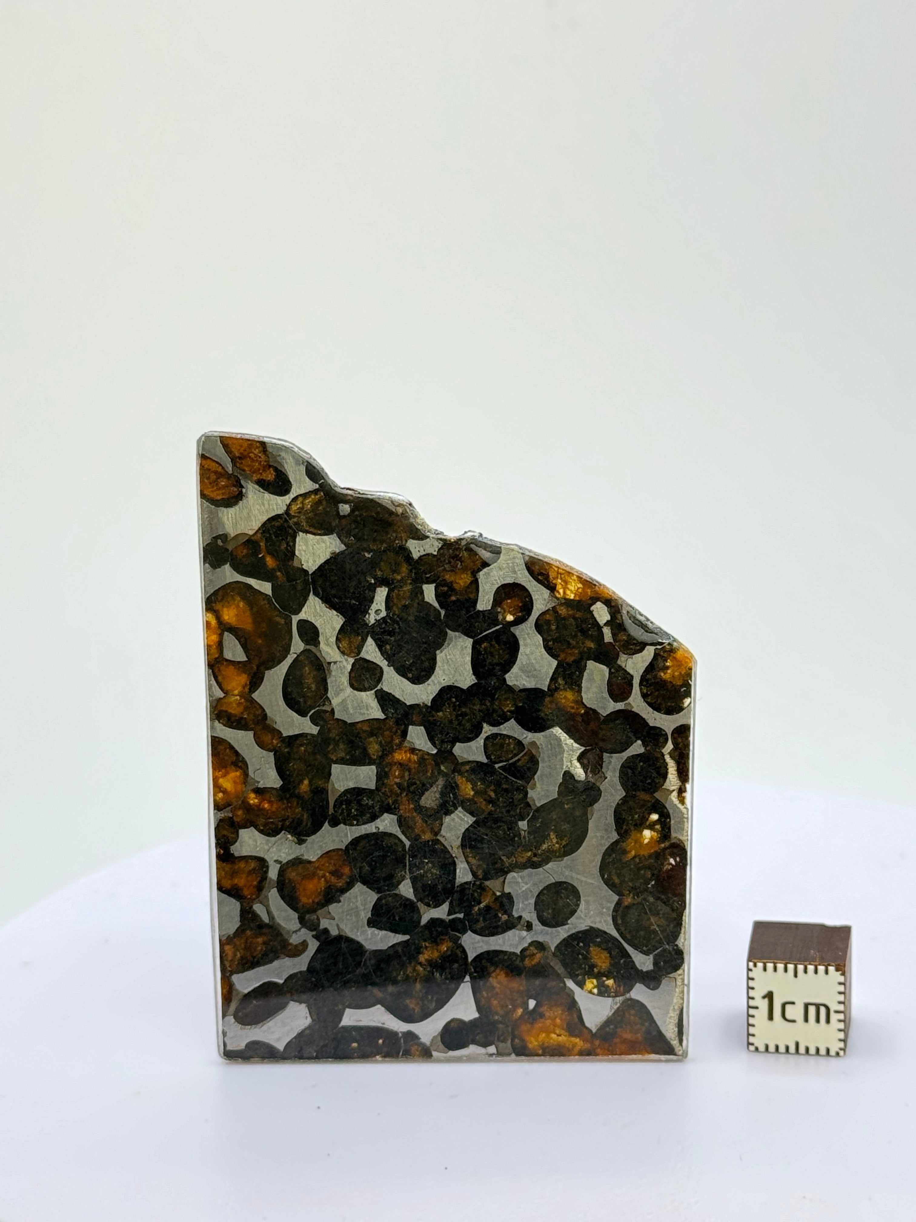 Sericho meteorite, Kenya. 17,74 grams.