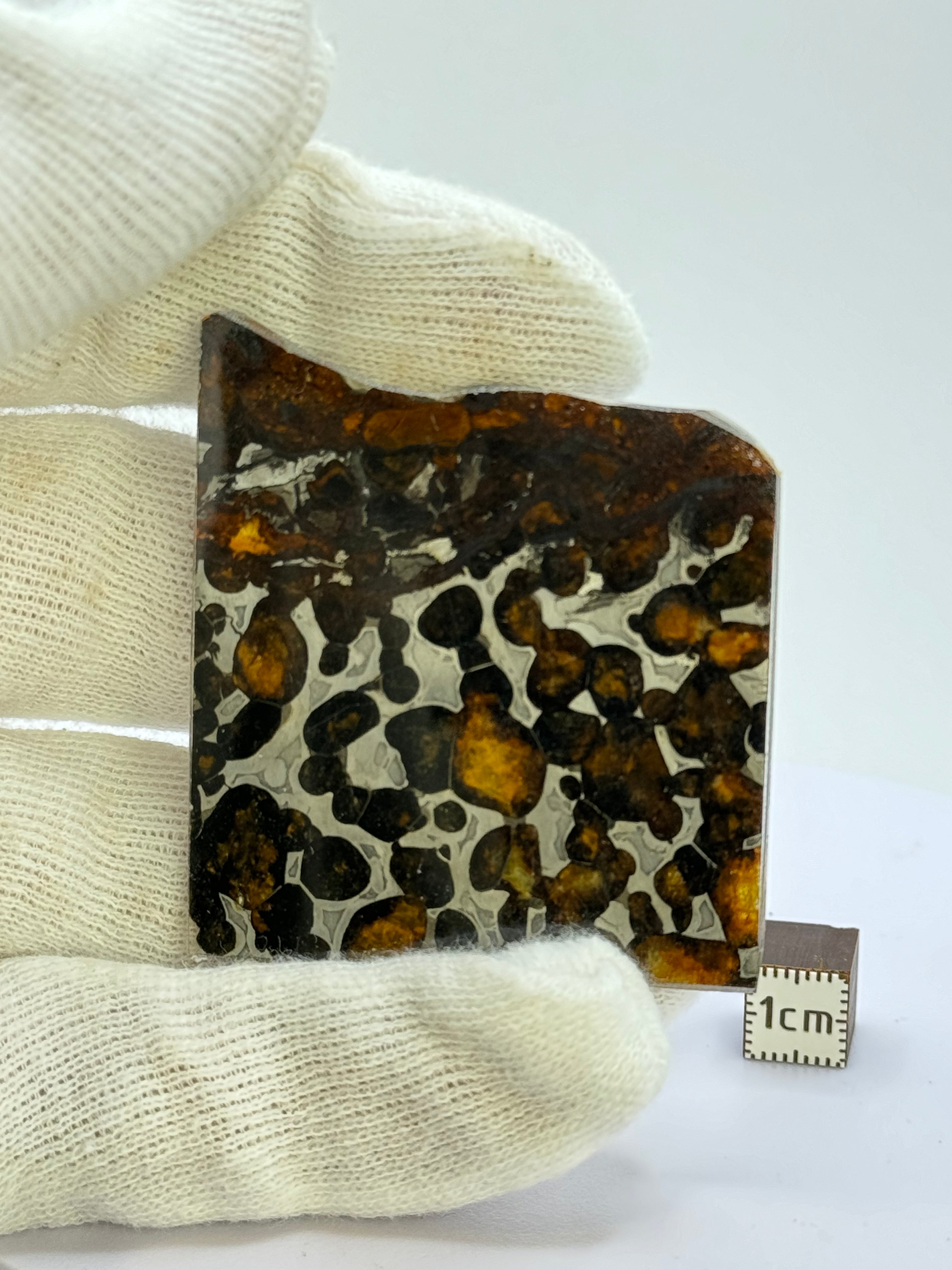 Sericho meteorite, Kenya. 14,26 grams.