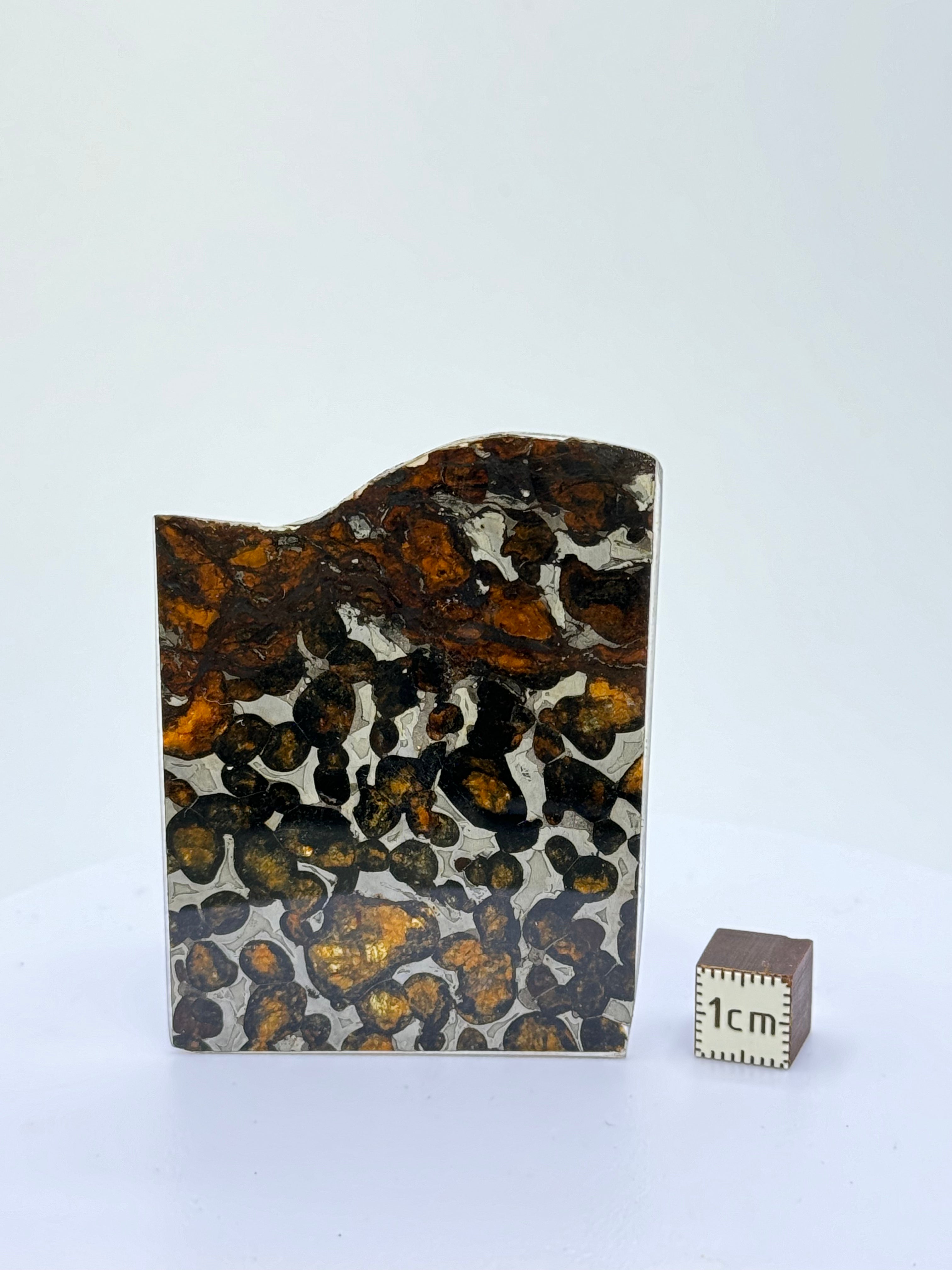 Sericho meteorite, Kenya. 13,09 grams.